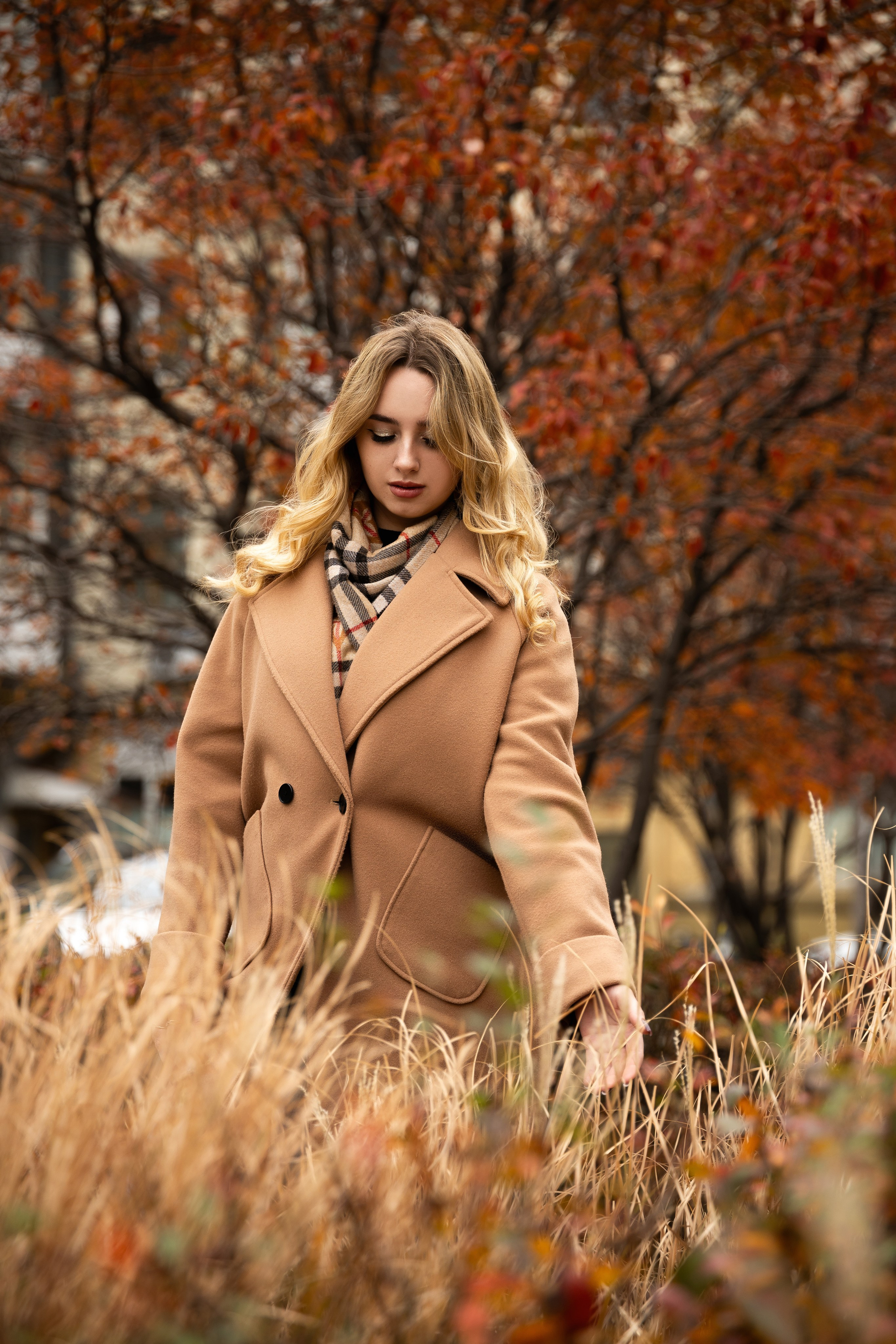 Осень. Фотограф в Донецке Кармазин Александр