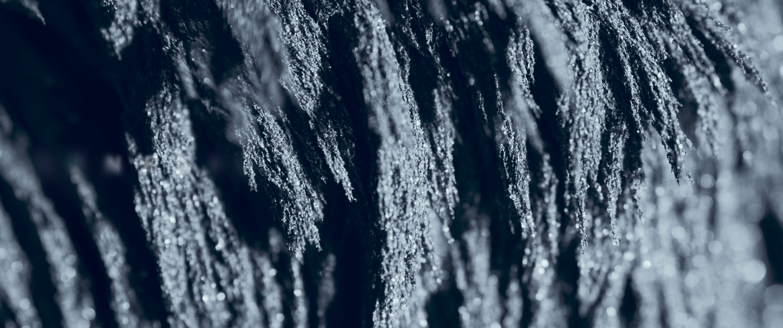 Genesis. Short films by Vadim Sherbakov