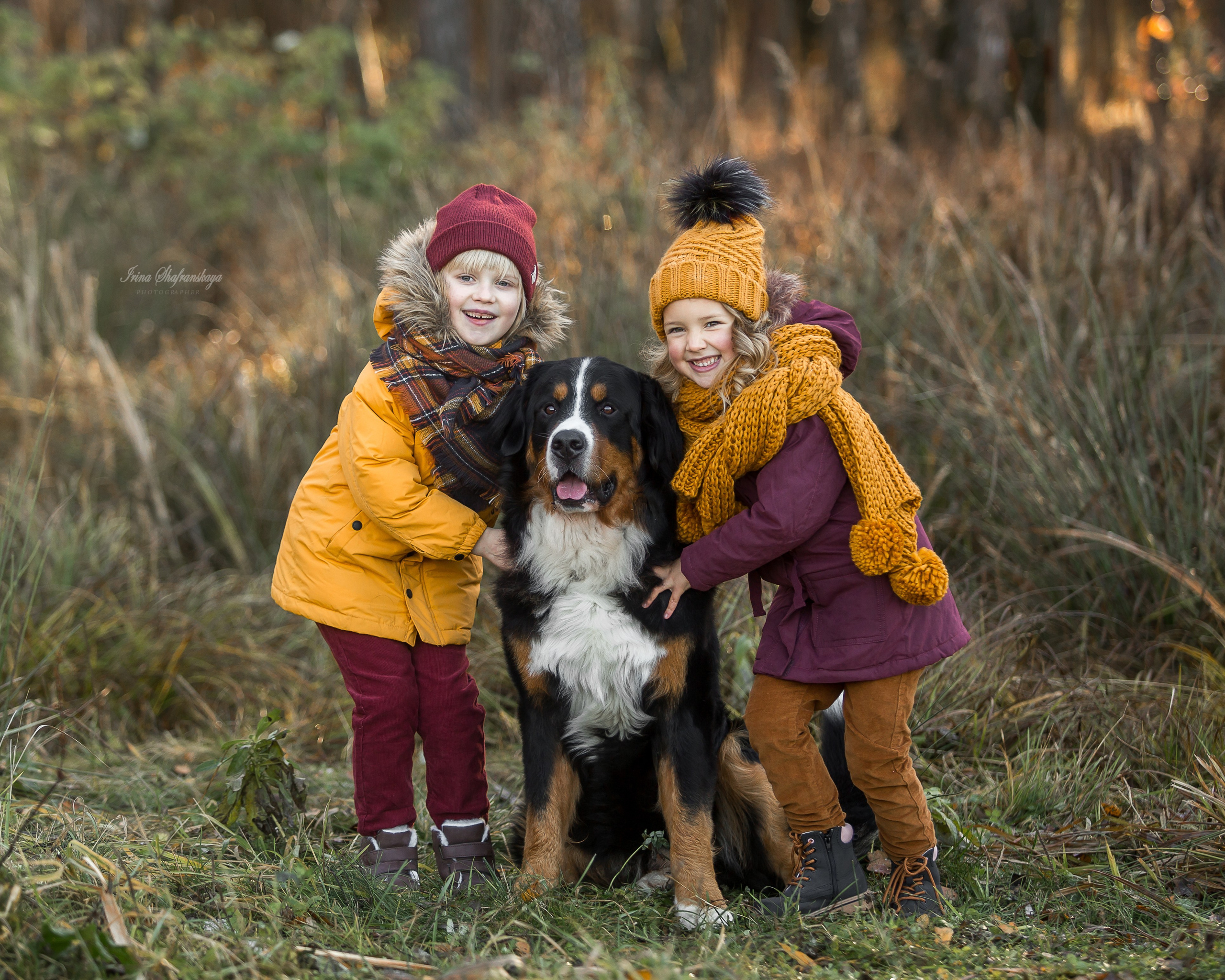 Фотопроект «4 лапки». Репортажный фотограф в Москве