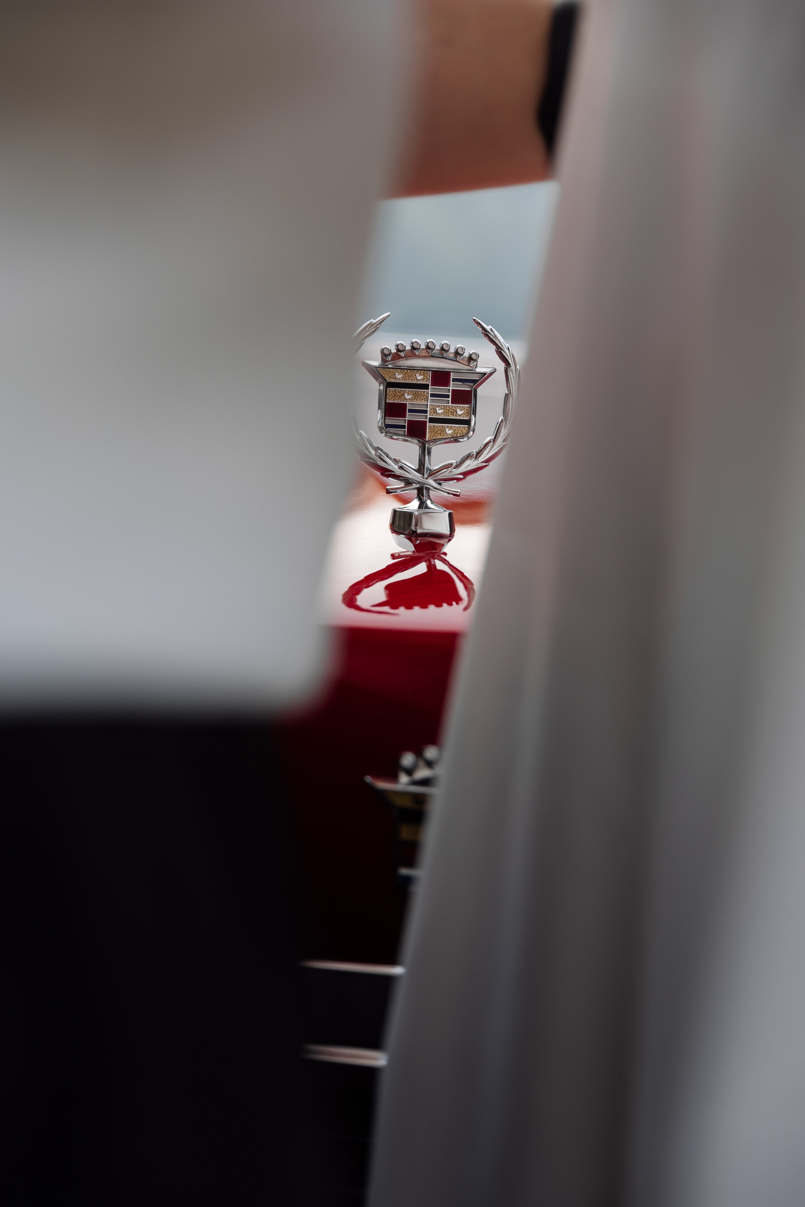 Модельное агентство Петропавловск-Камчатский, модельное агентство Камчатка  