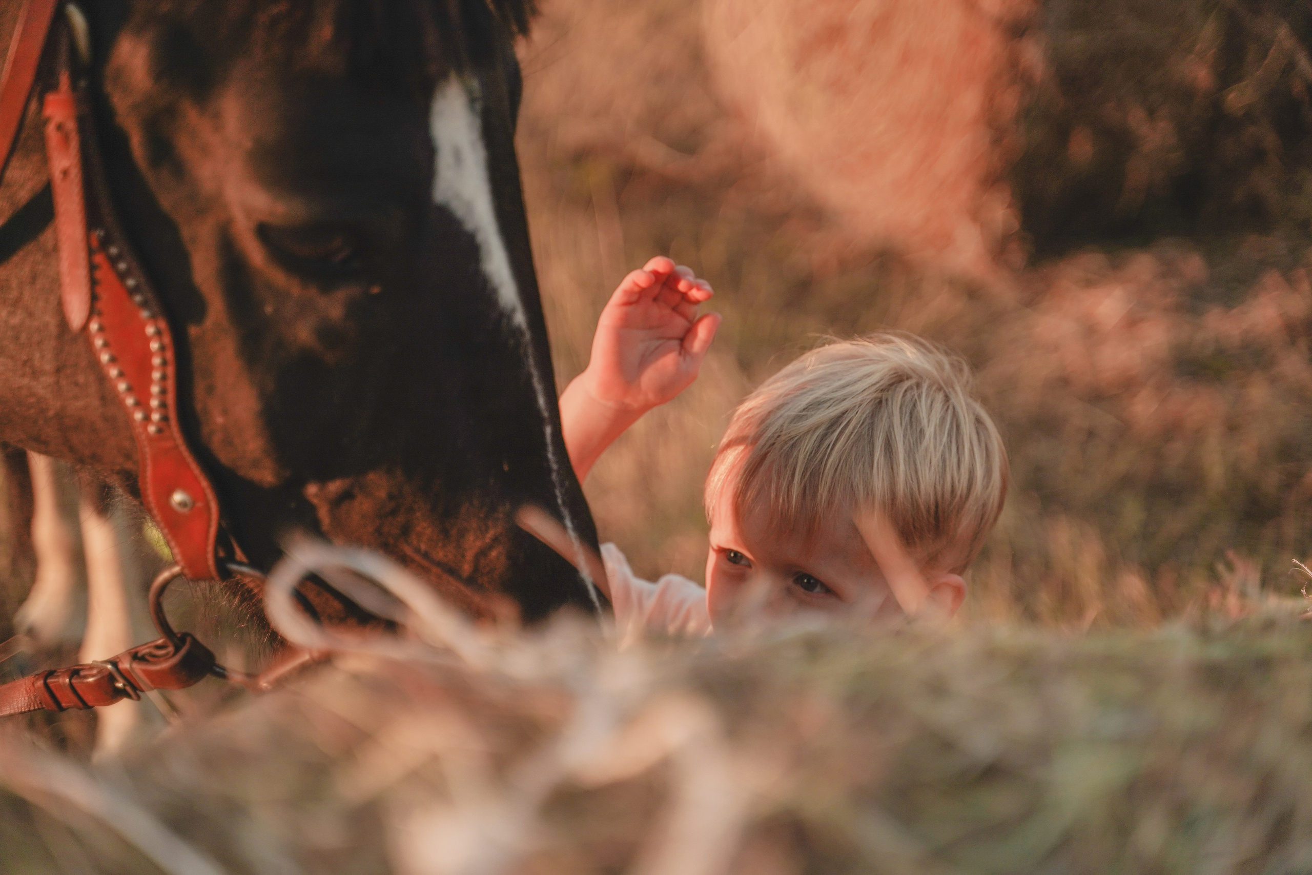 Выездная фотосессия. Семейный и женский фотограф в Краснодаре Анастасия Приймак
