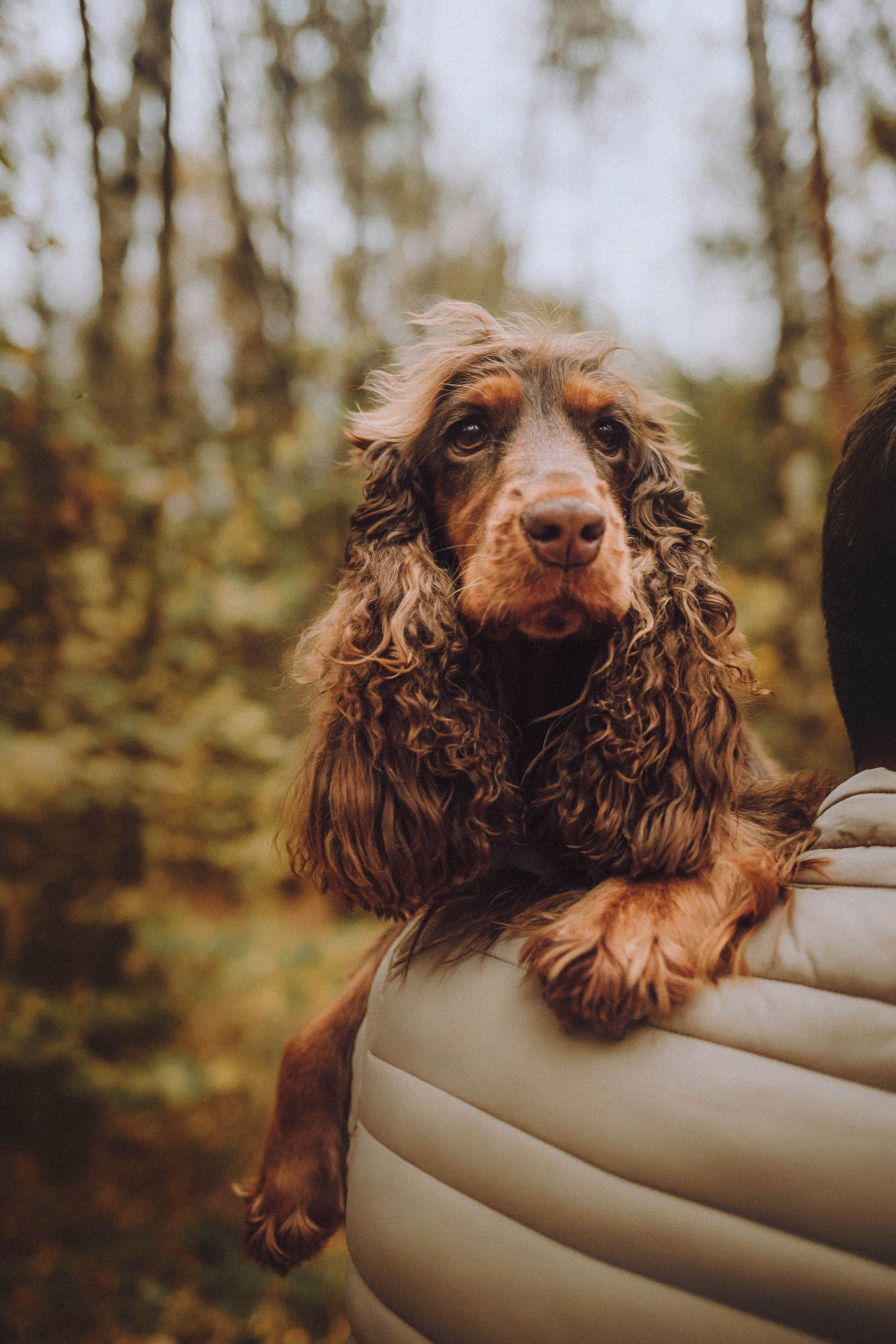 Настя, Саша и Эстер