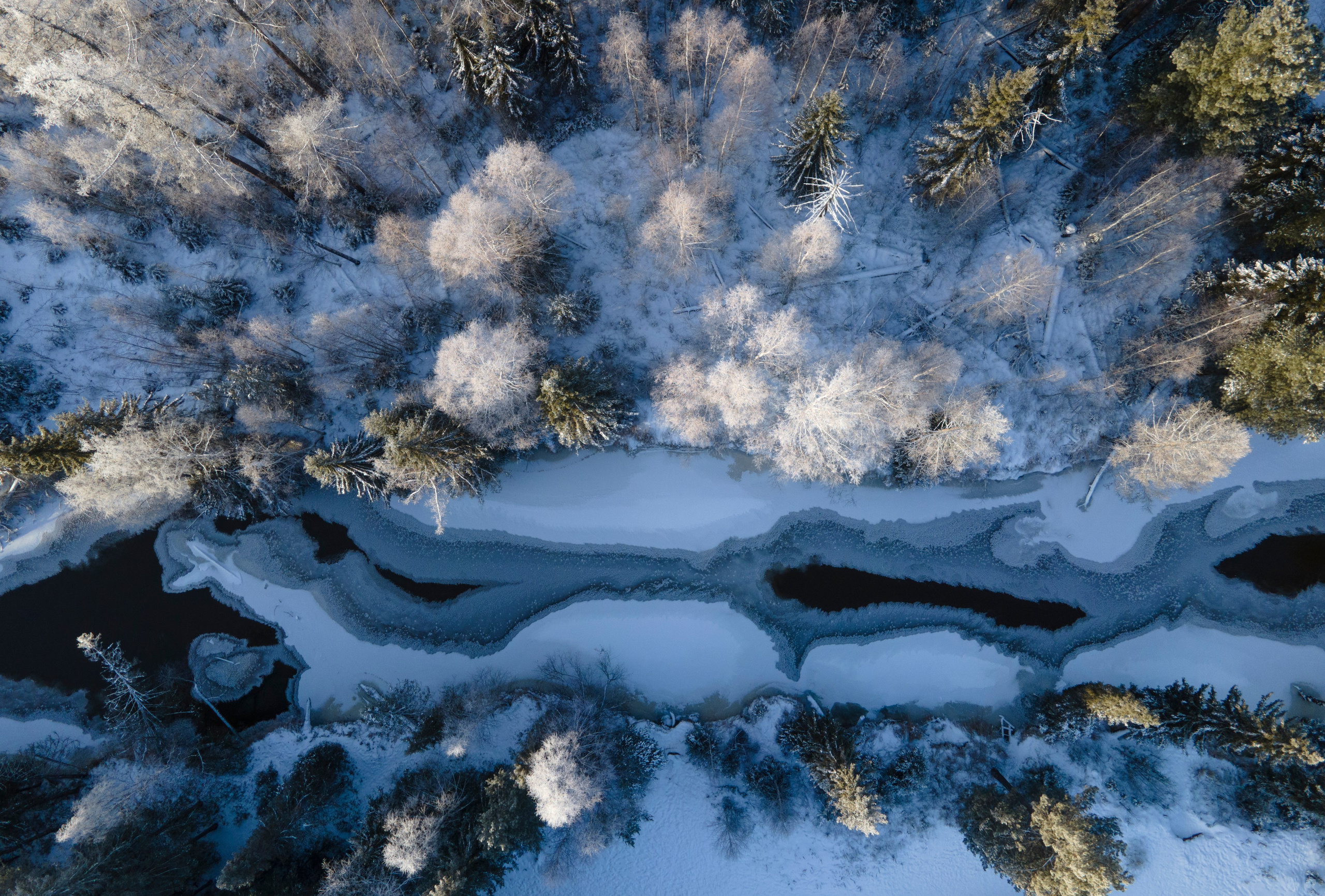 ПРИРОДА С ДРОНА. Фотограф Татьяна Борисова
