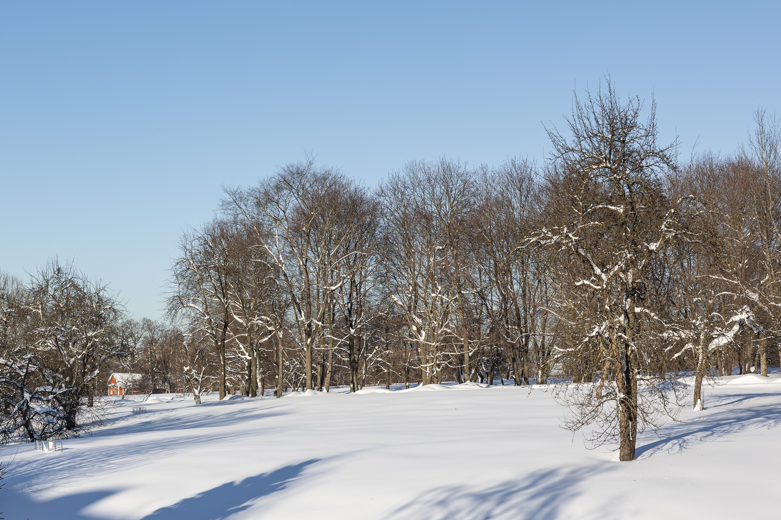 Природа. Фотограф Владимир Охрименко
