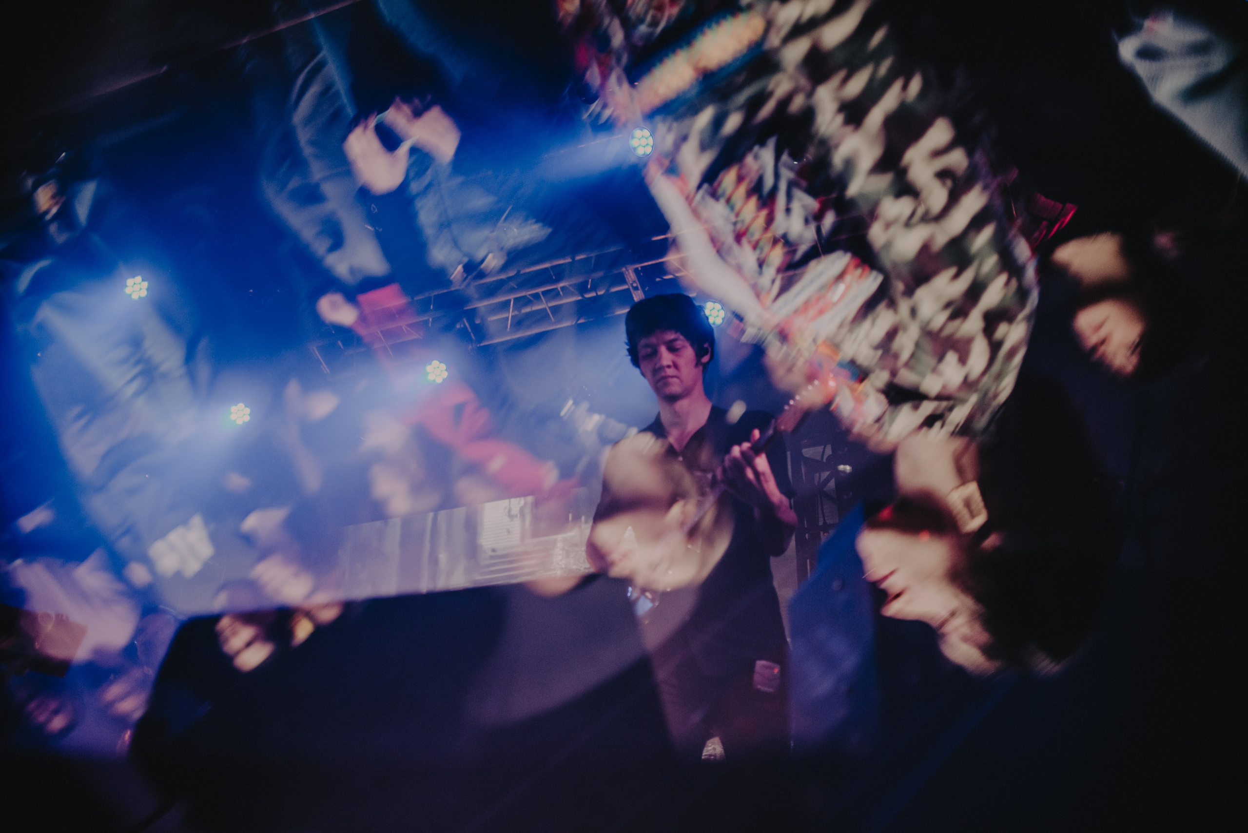 Дельфин | Gaudi. Контент фотограф Илья Урс