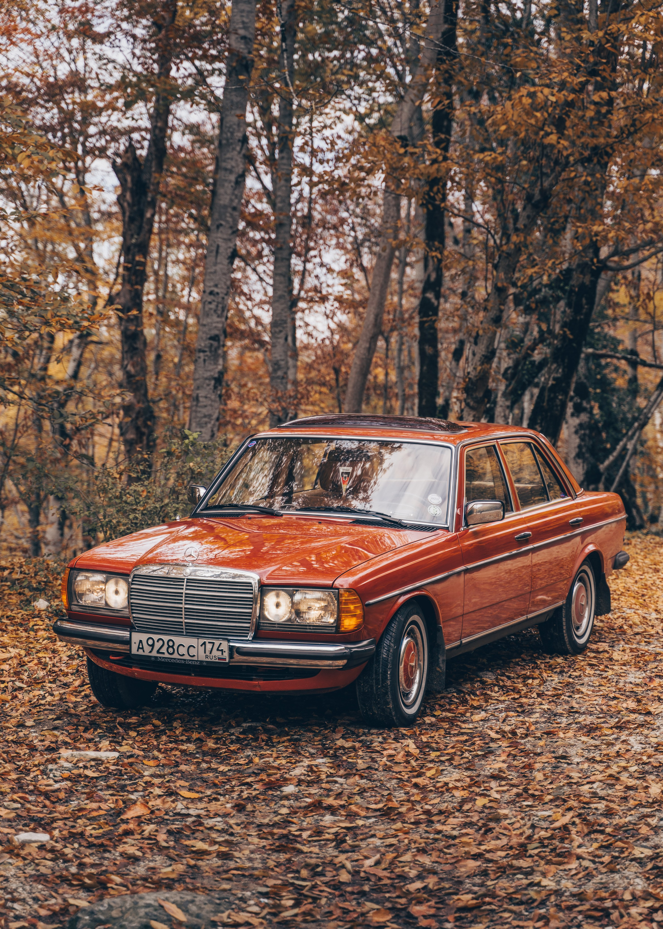 Retro Mercedes in Autumn. Автомобильный и просто лучший фотограф в Сочи Nikita No Name