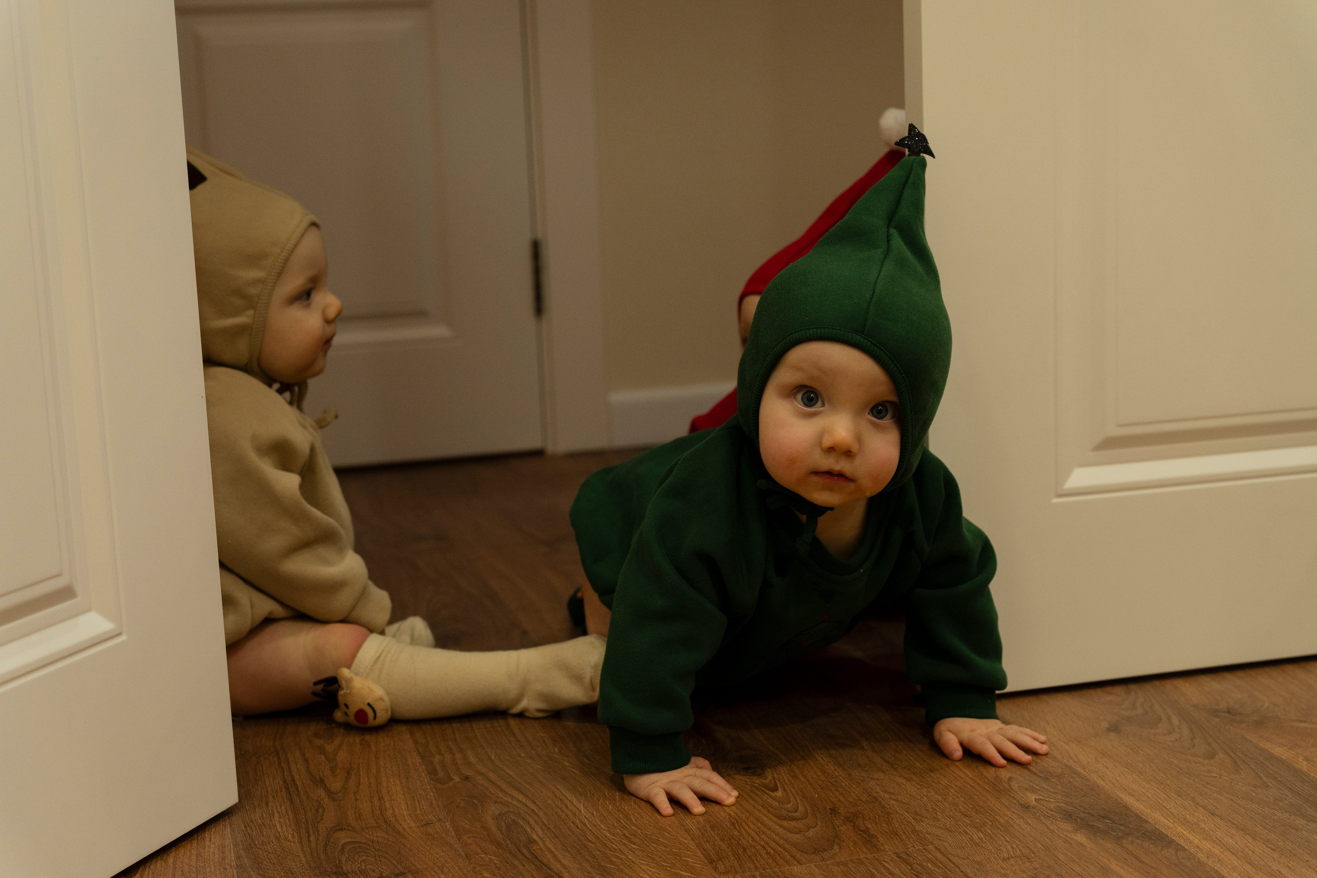 Новогодние тройняшки. Главная