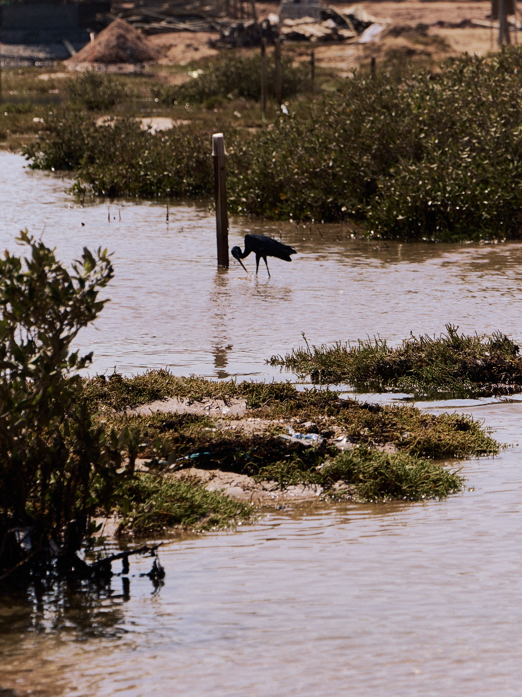 Другое 3. Jorgis — фотограф в Хургаде / обучение фотографии
