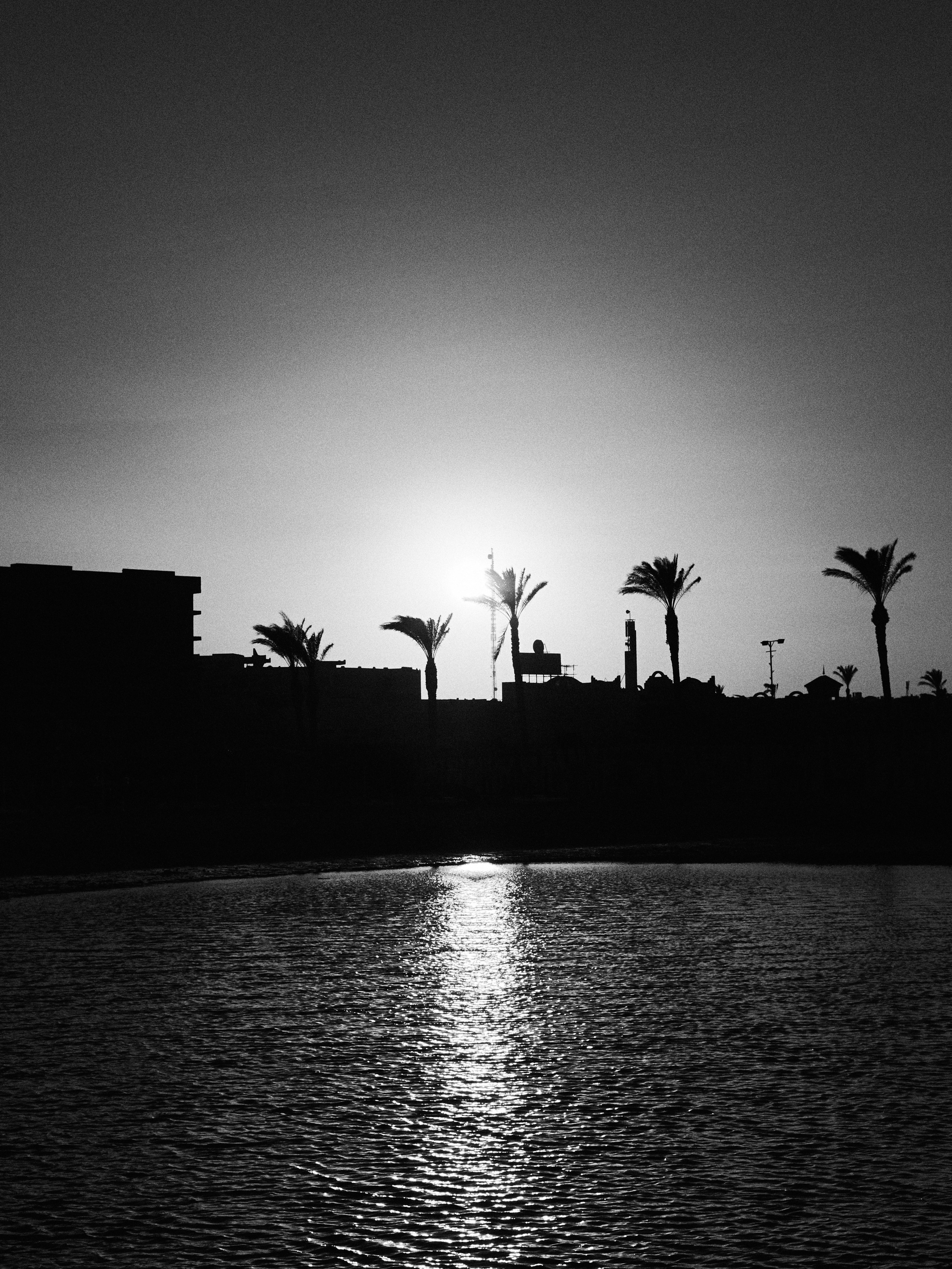 B&W. Jorgis — фотограф в Хургаде / обучение фотографии