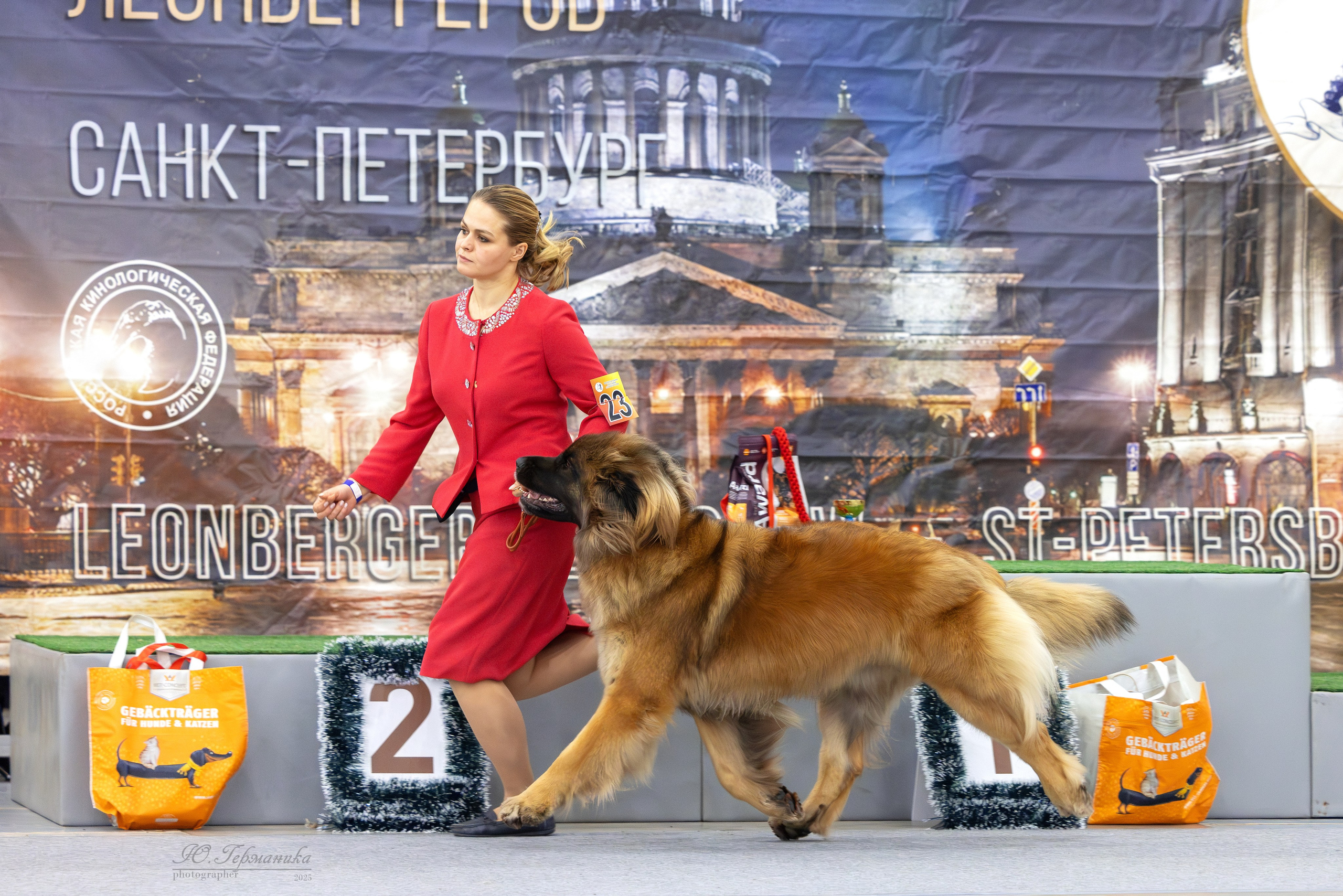 Питер 12-13.12.2025. Фотограф-анималист Юлия Германика