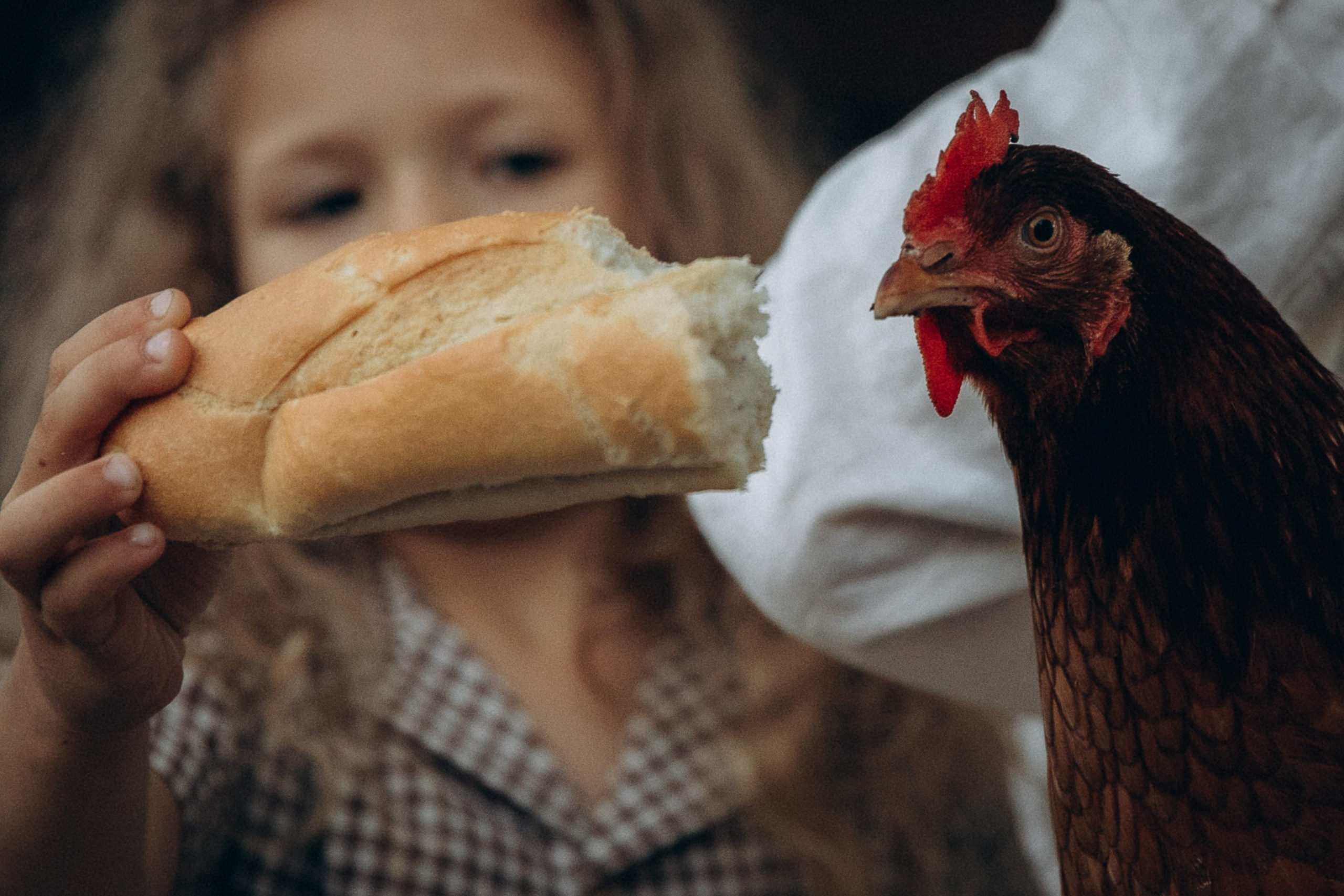 Вечер в саду. Фотограф  Челябинск Варвара Шарапова