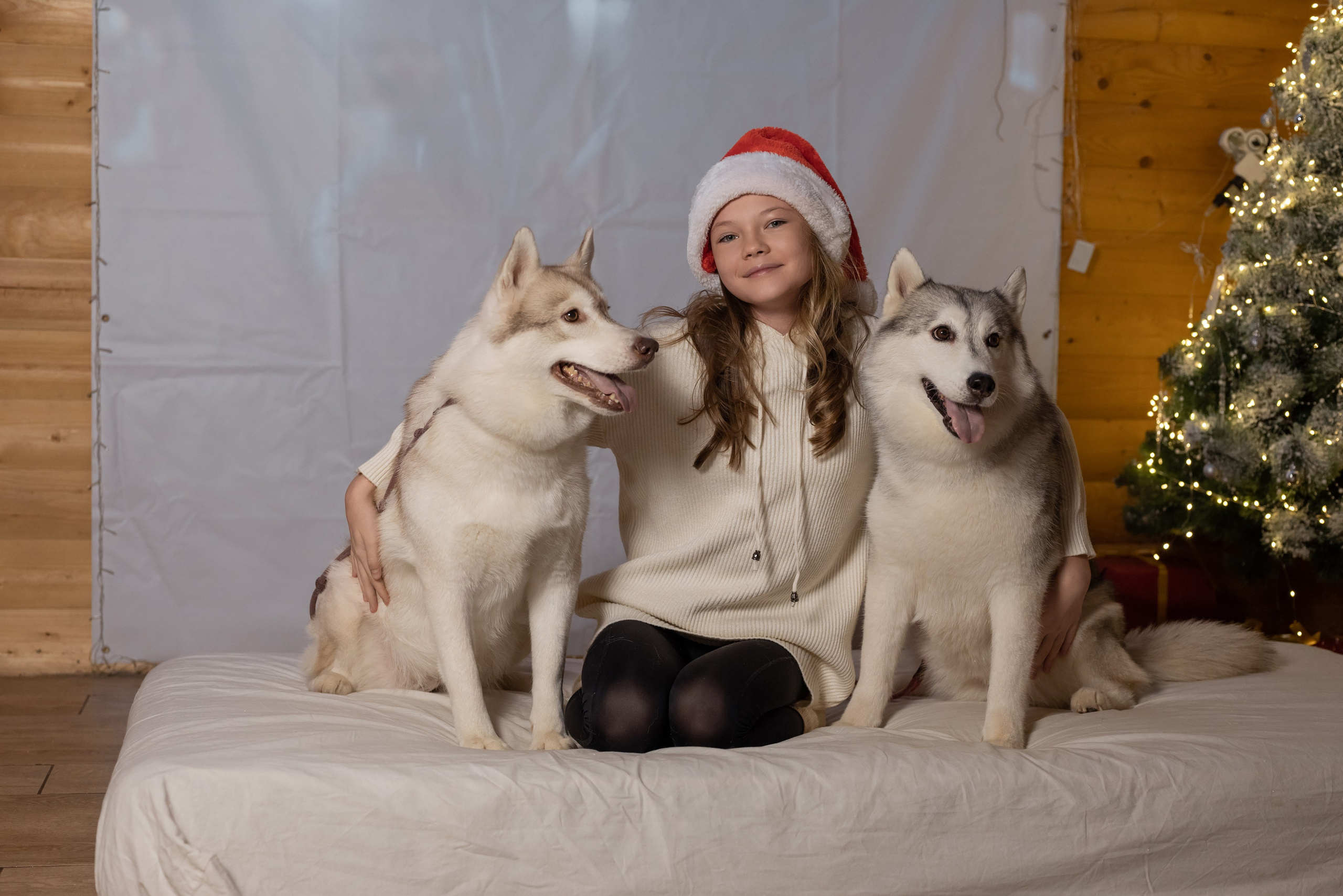 Фотопроект с хаски в частном доме. Фотограф в городе Салават