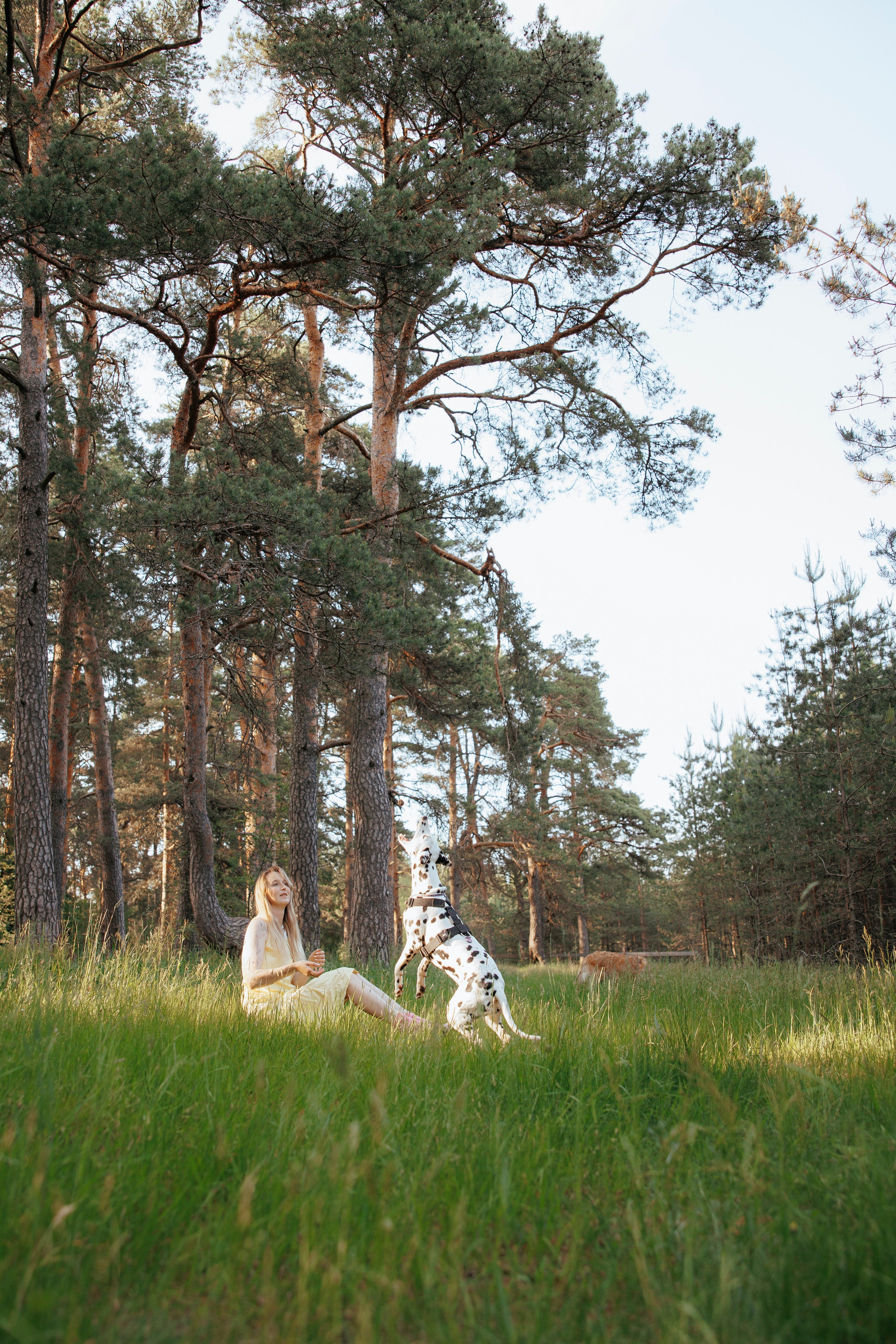 Съемка с собакой. Анастасия Белаш
