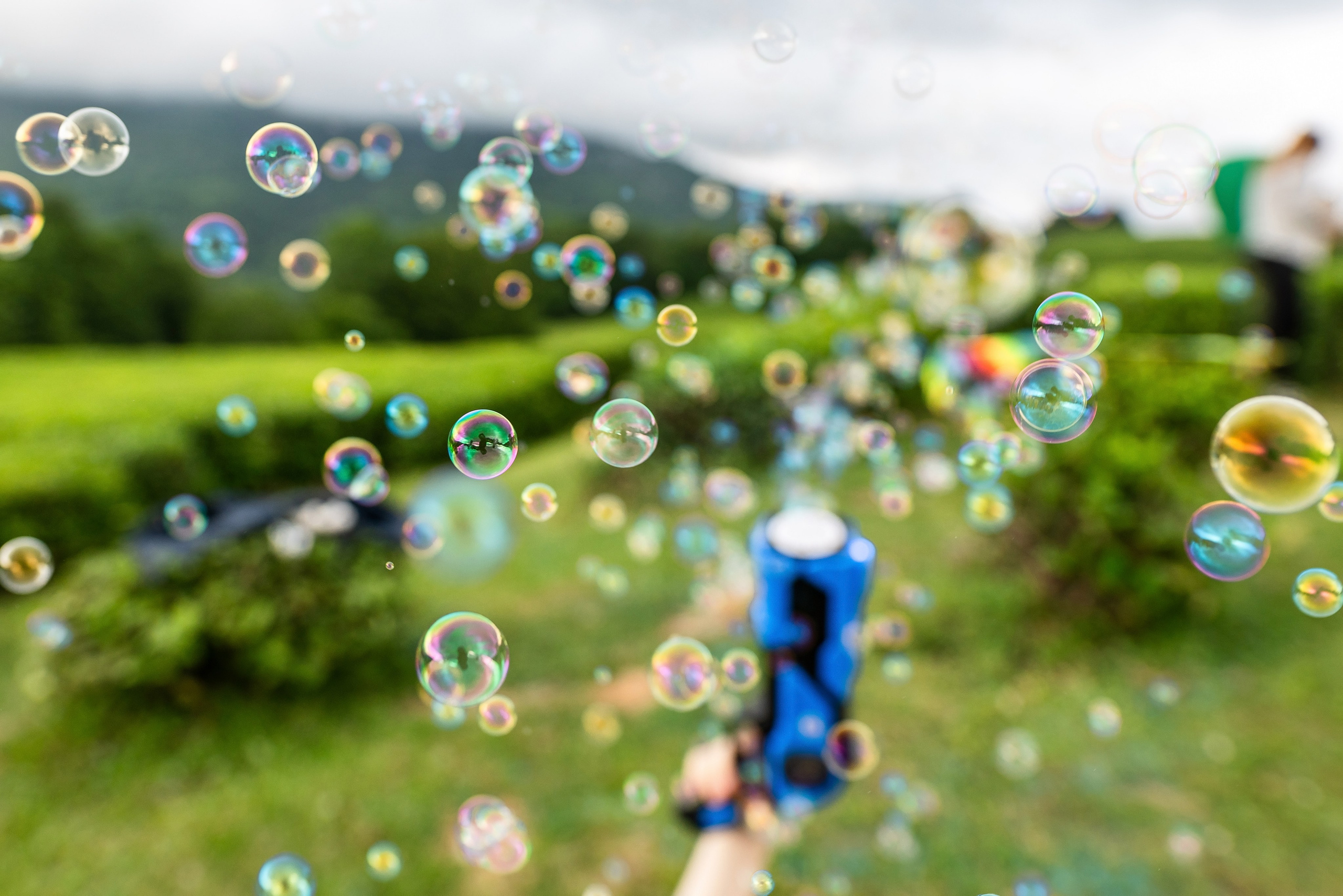 Фотограф на праздник Сочи. Фотограф Сочи