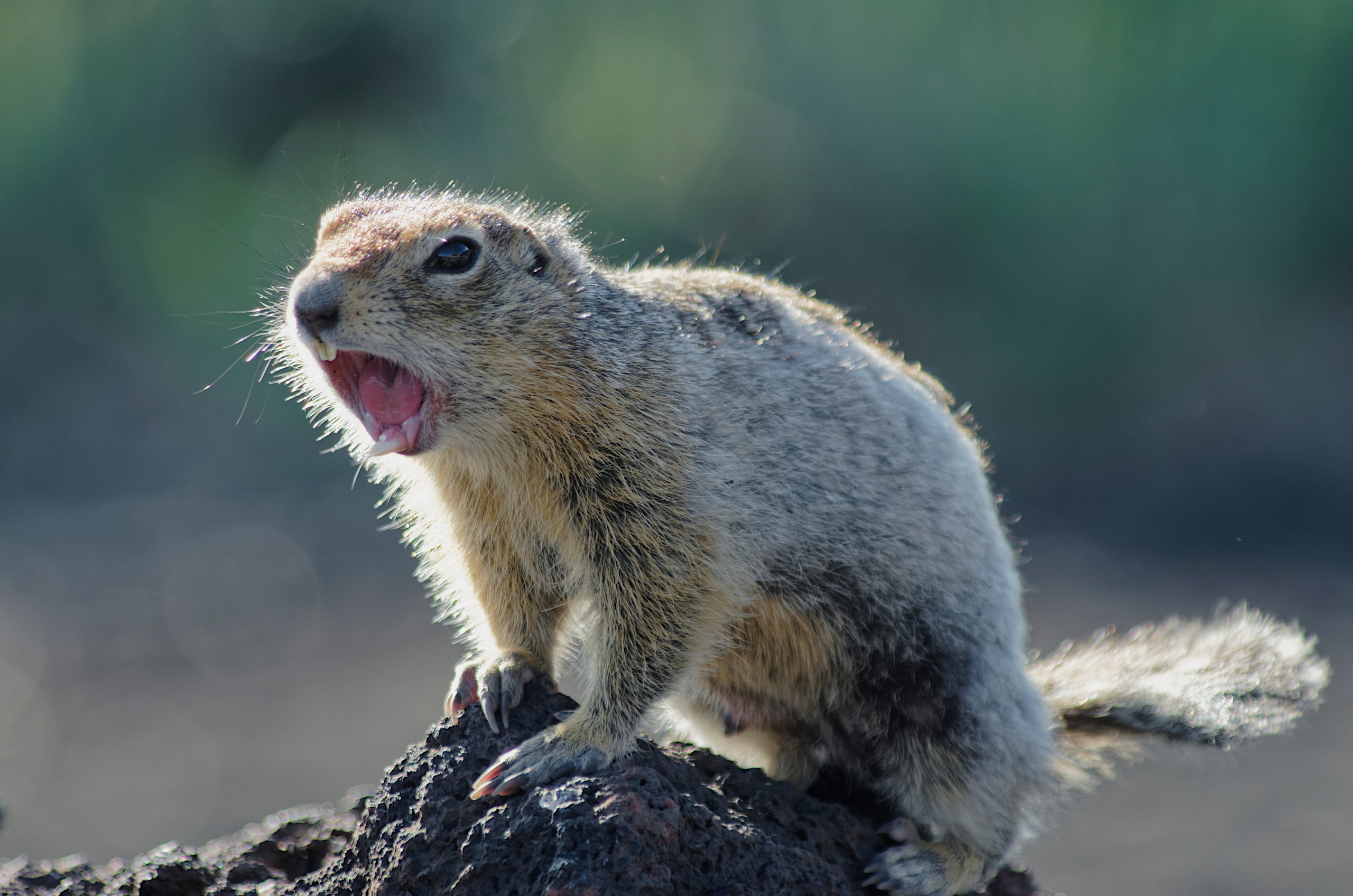 Камчатка. Фототрип. Тур?. Семоха Валерий. Фотограф