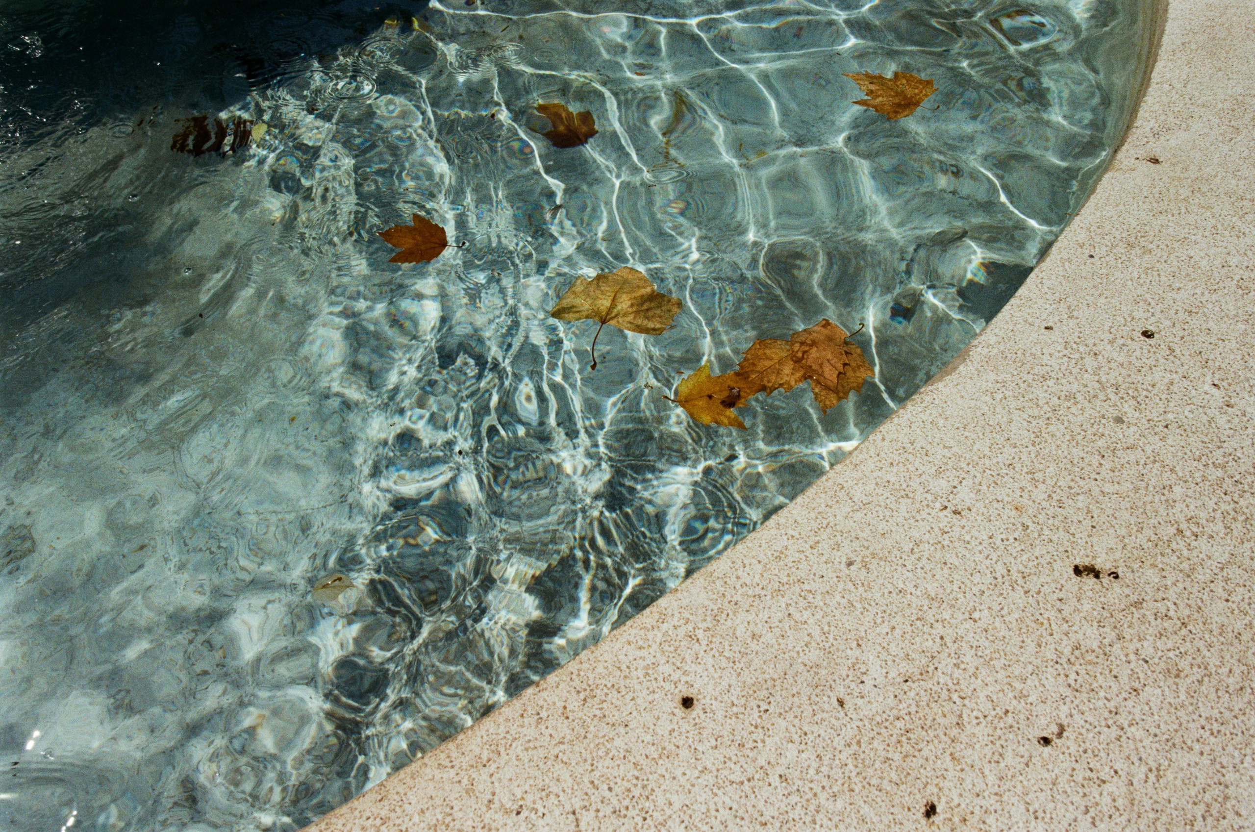 The contract // france, nice. EVER EXPOSED