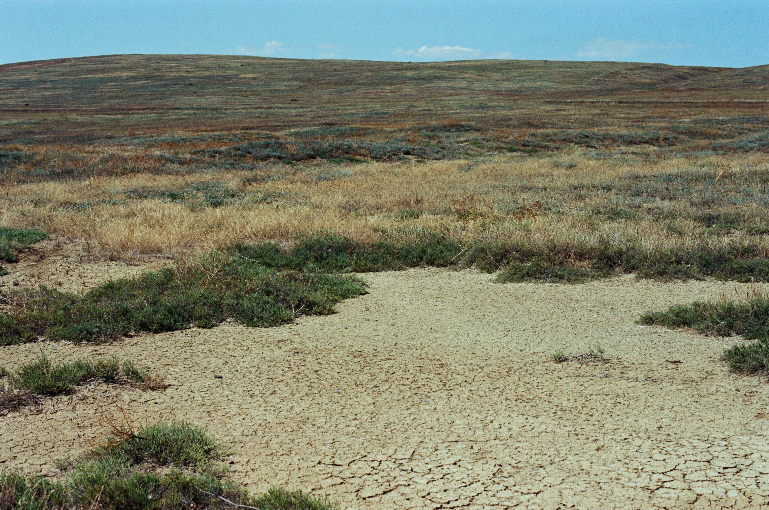 Dig it // ukraine, crimea VIII. EVER EXPOSED