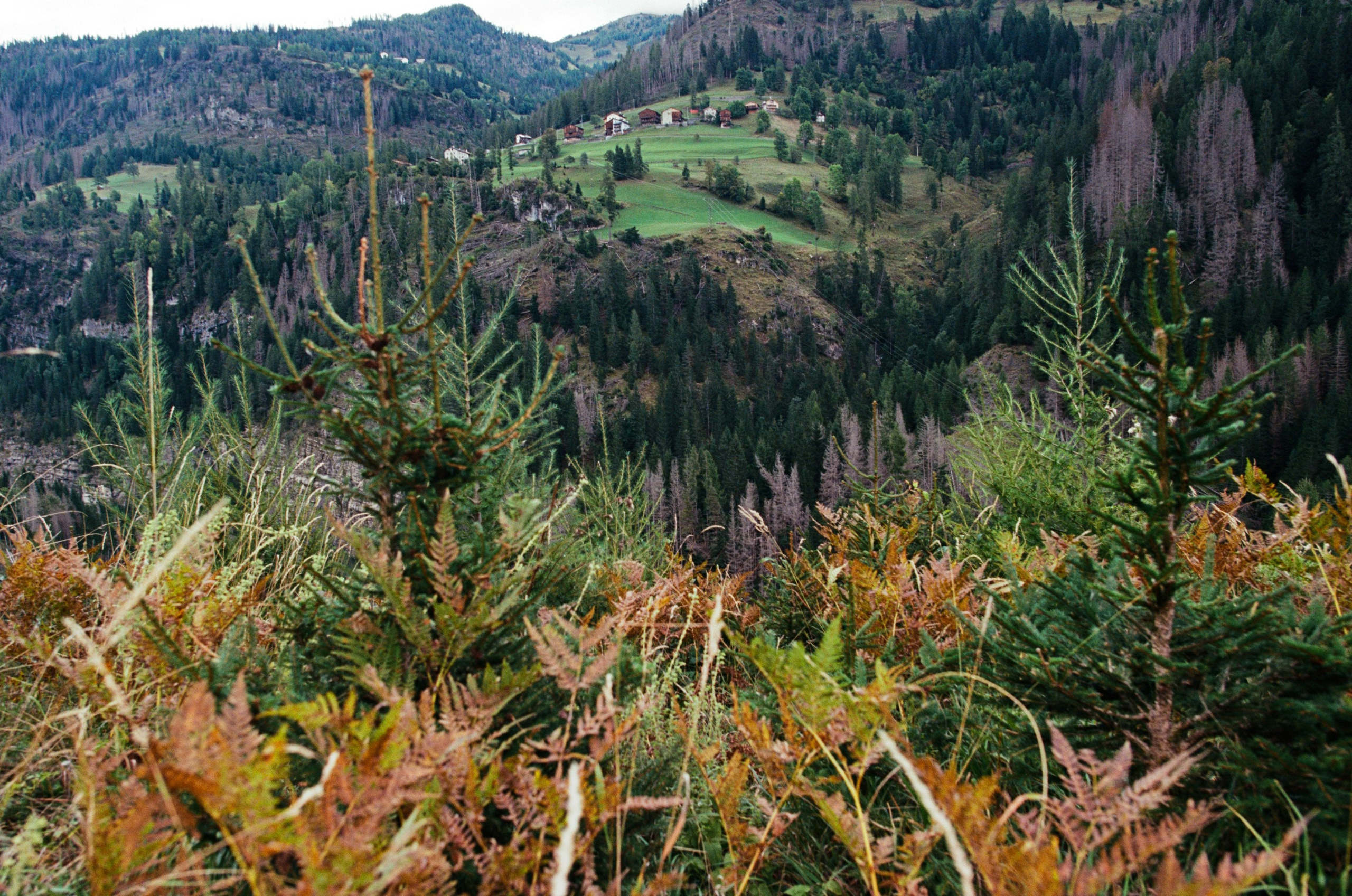Are you coming // italy, dolomites II. EVER EXPOSED