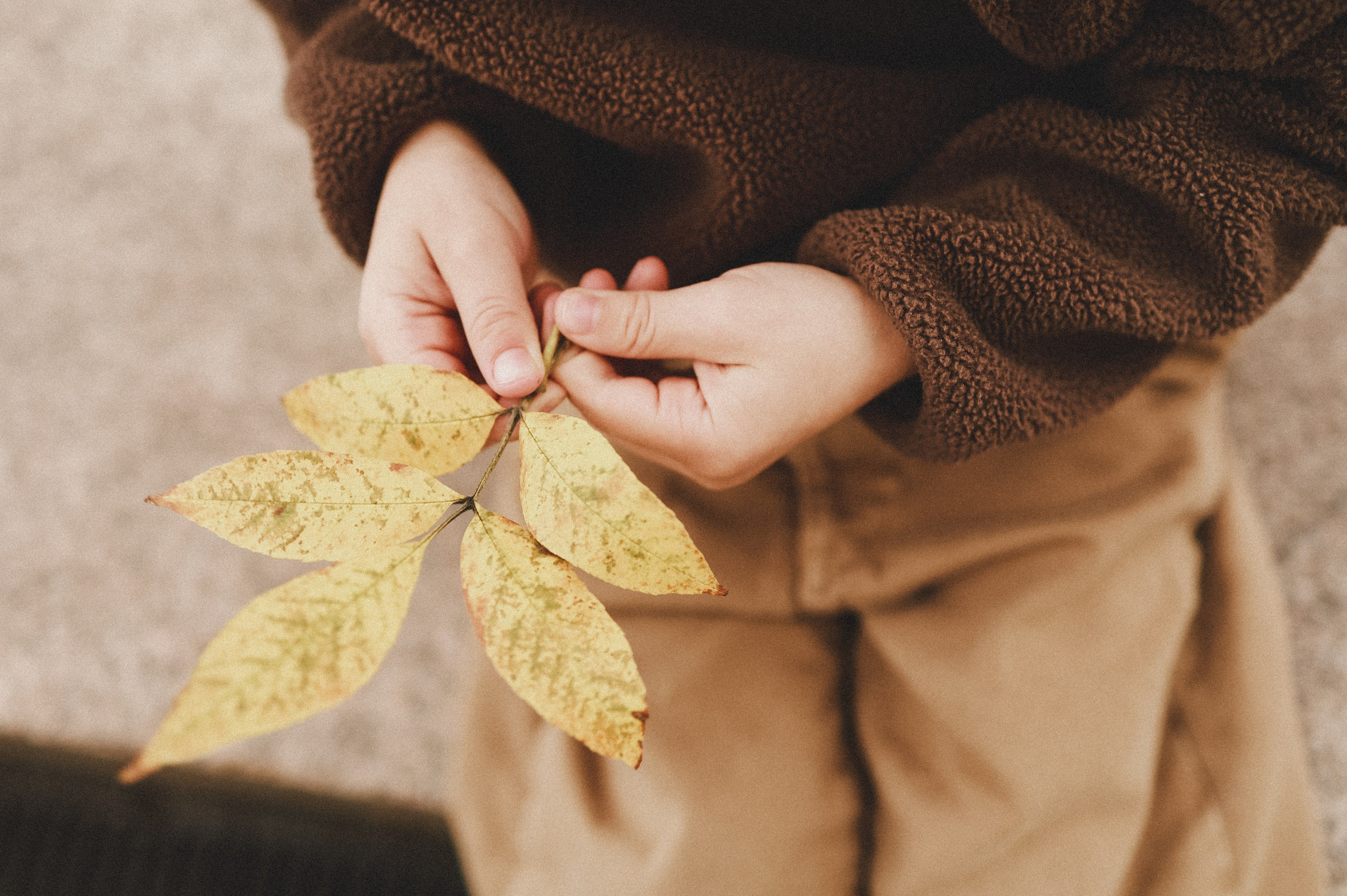 Нижегородские приключения. Семейный фотограф Фрума Шнейдерман. Санкт-Петербург и мир