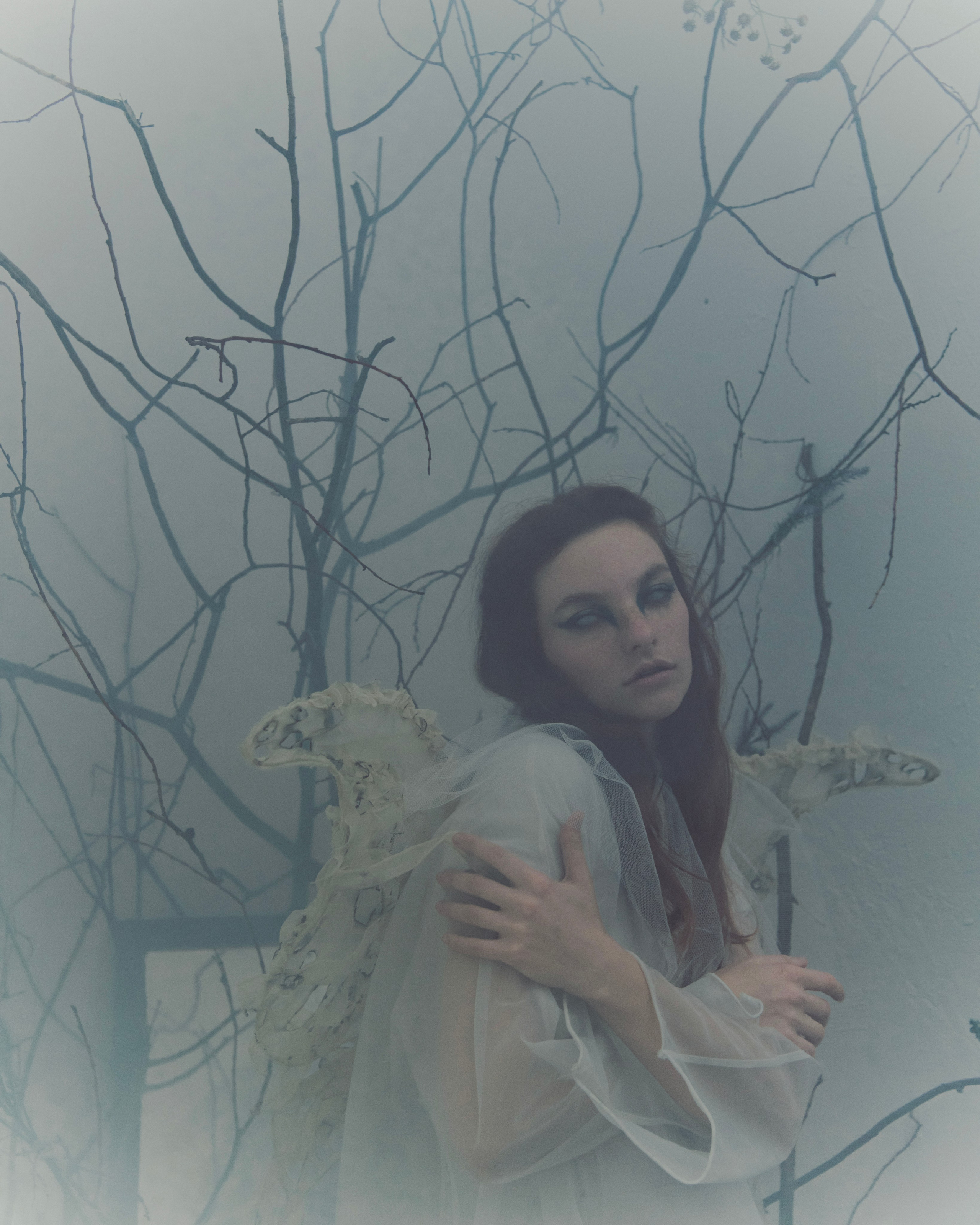 Мотылек. Фотограф Anita Mivchas