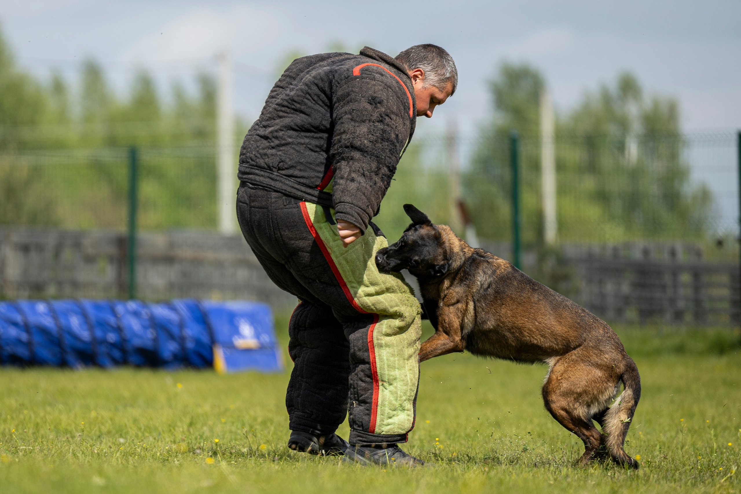 Испытания по мондьорингу в Нижнем Новгороде. Фотограф-анималист Анна Маринич