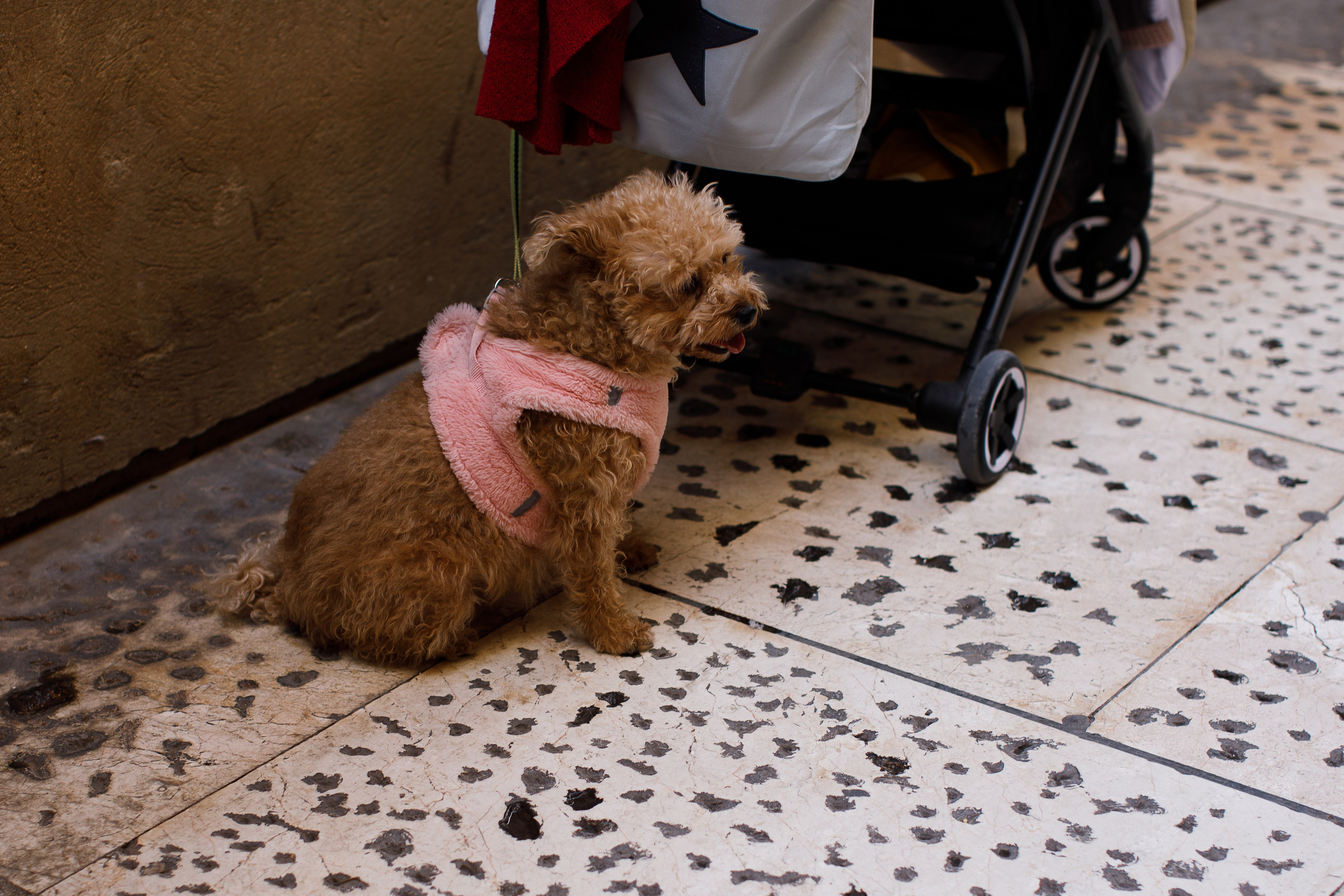 Малага 2024. Репортажный и портретный фотограф Русакова Жанна