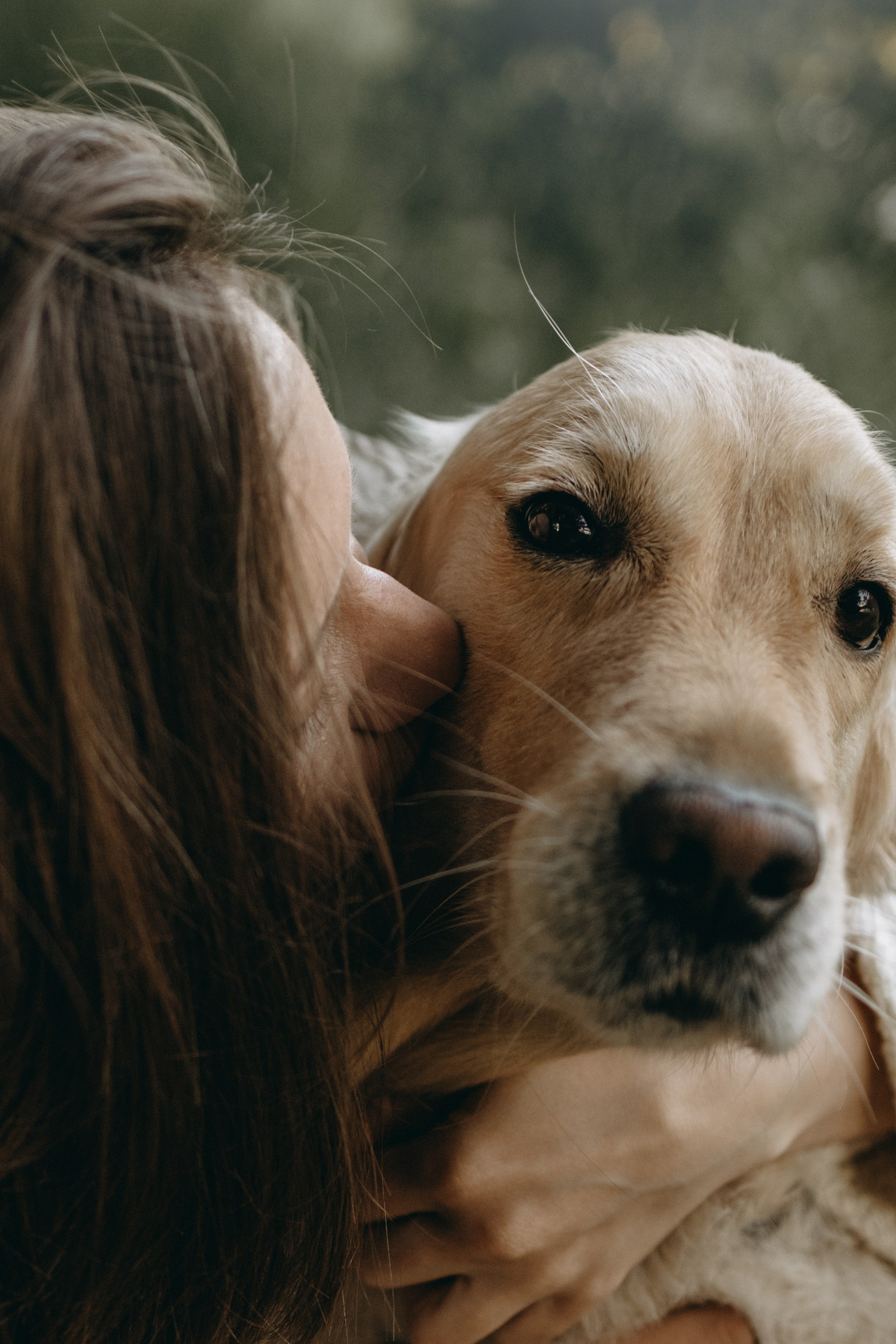 Пенни и ребята. Фотограф — Анималист | Санкт-Петербург