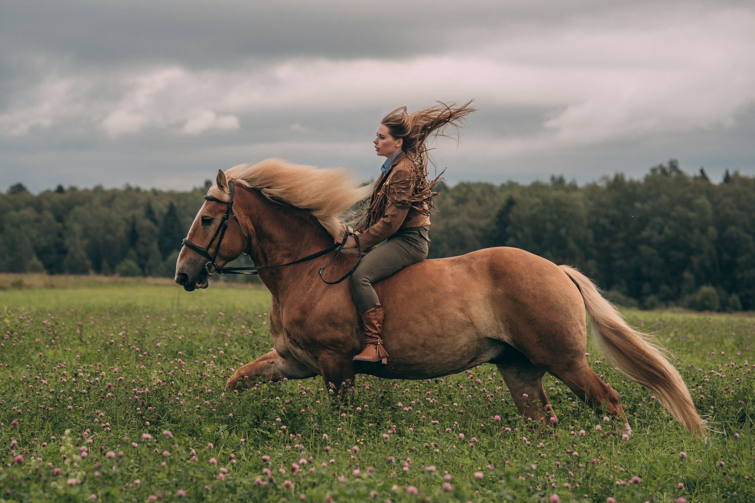 КСК Славино. Фотограф-анималист, портретный фотограф в Чебоксарах Мария Садыкова