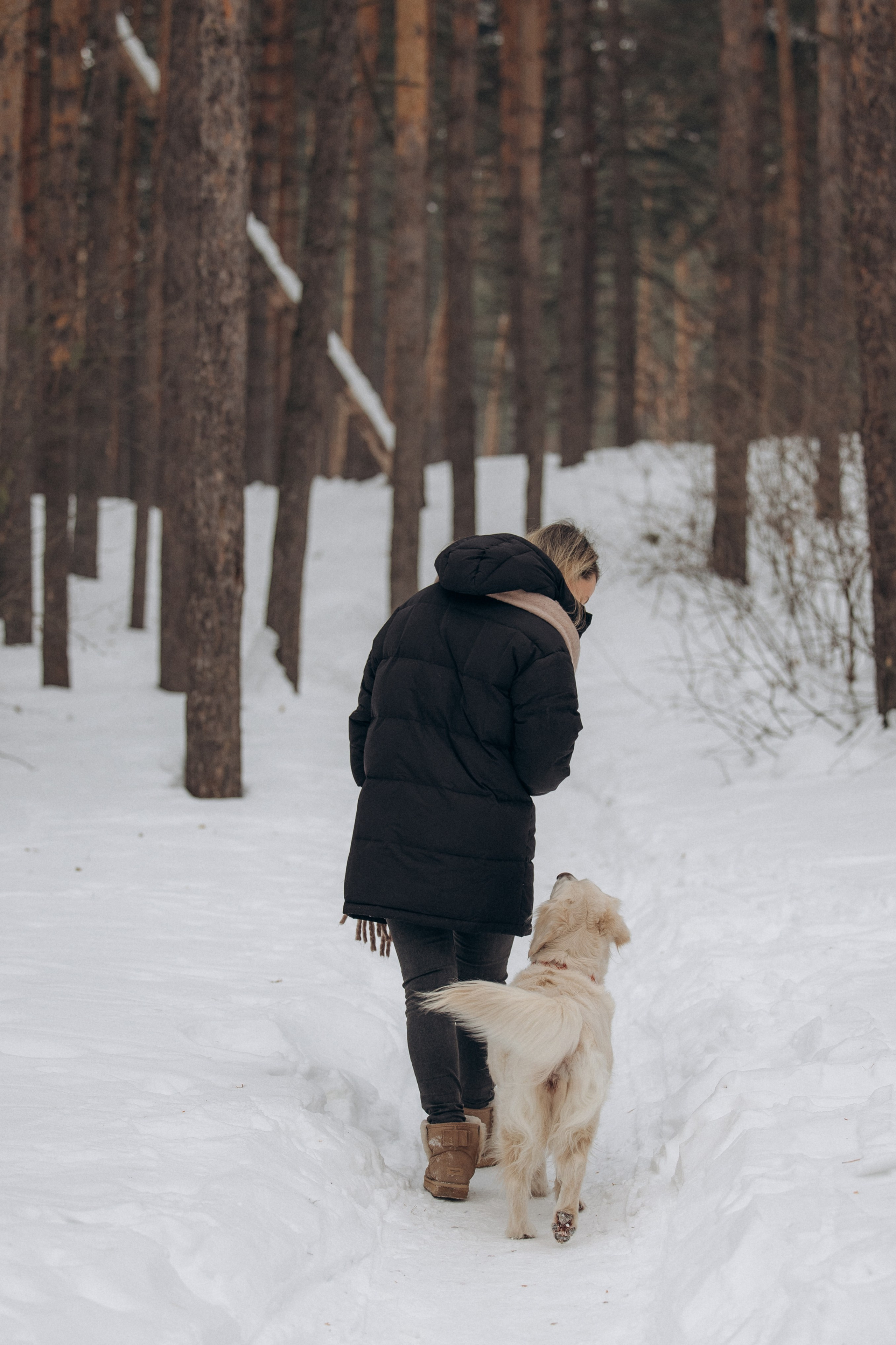 Зима. Лес. Татьяна и Делла. Фотограф анималист в Казани Алина Сулейманова. Фотограф животных