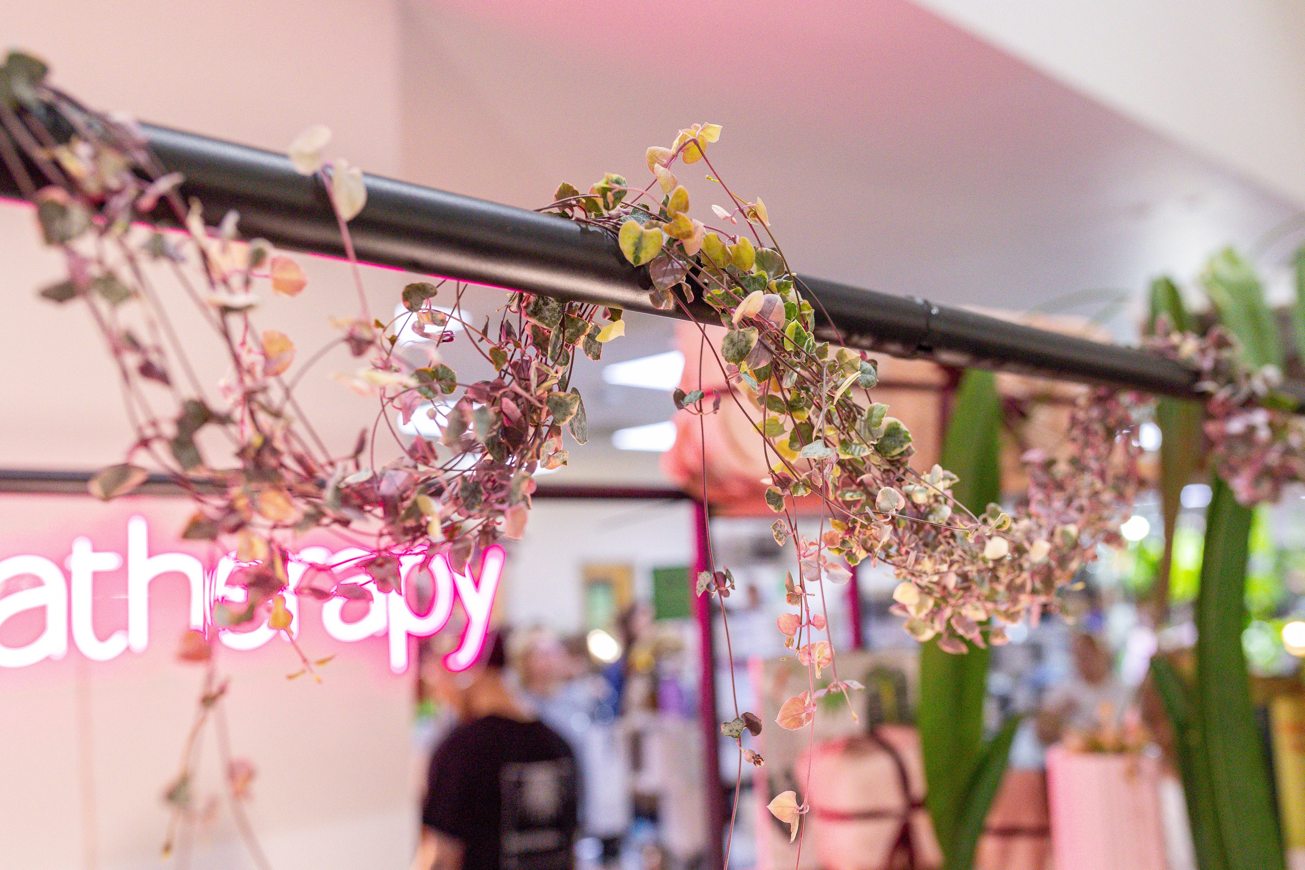 Монстериум 11–12 октября. Александра Куликова фотограф, Москва