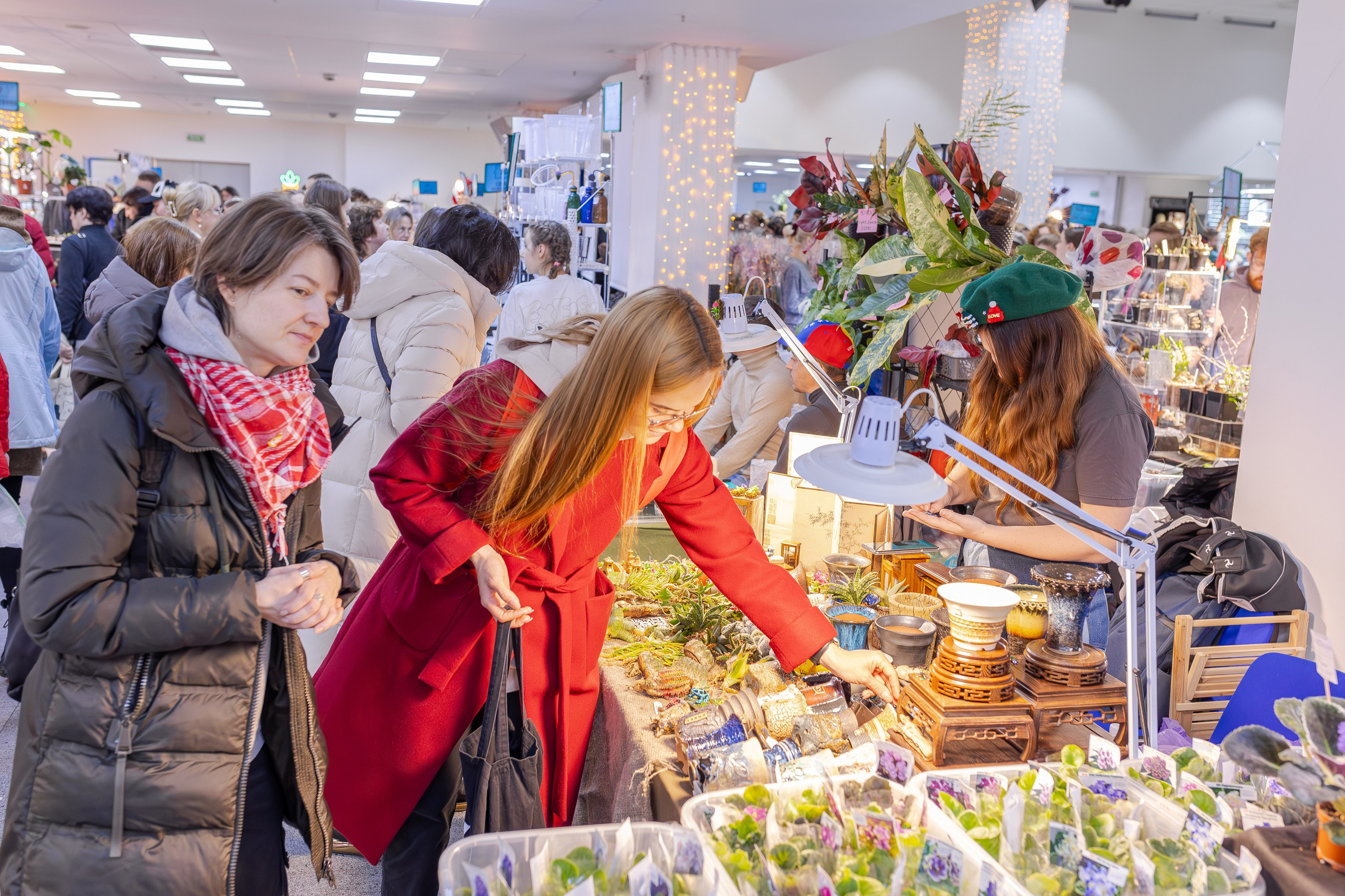 Орхидиум 12.2025. Александра Куликова фотограф, Москва