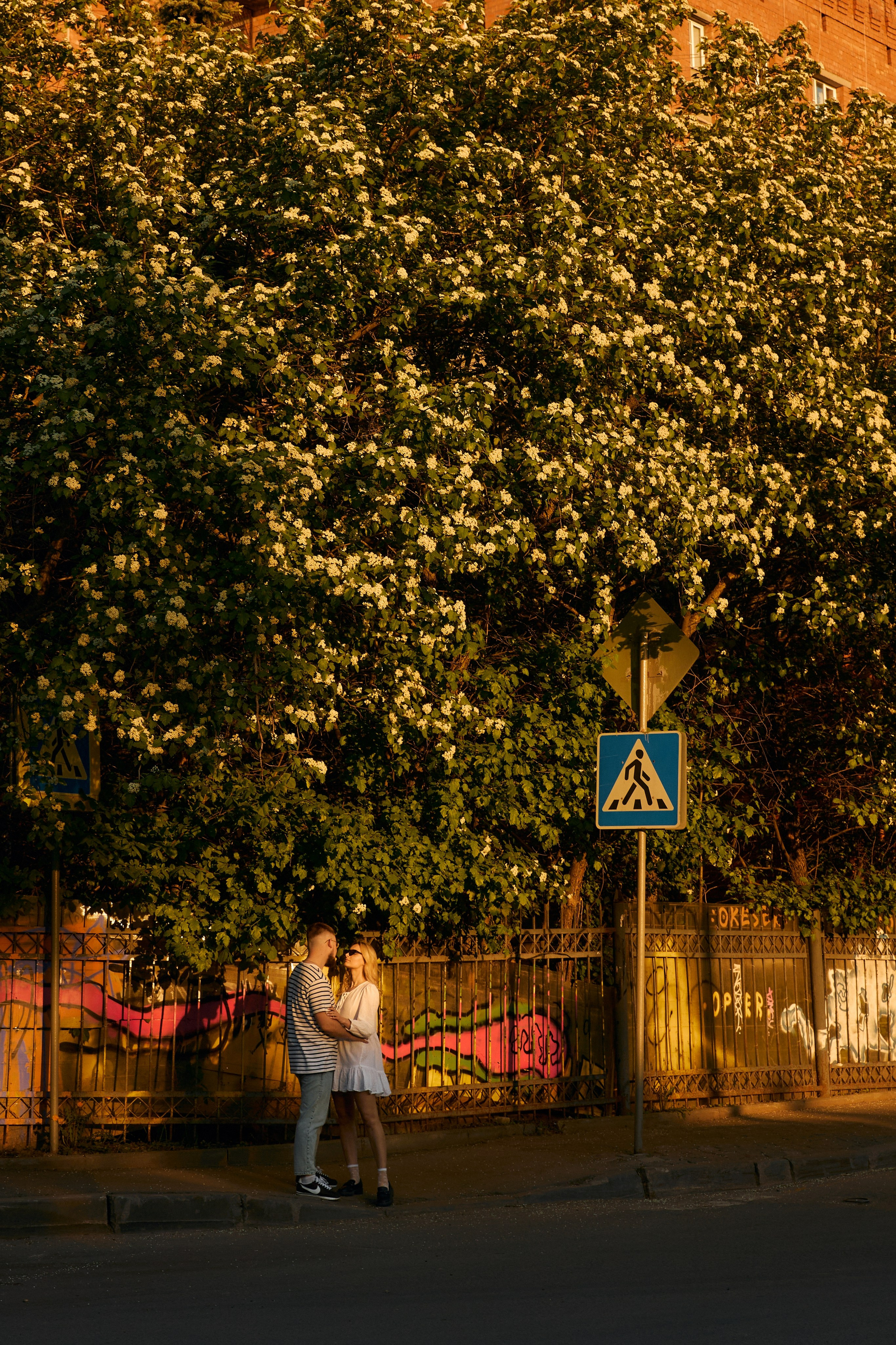 Катя и Никита. Свадебный и семейный фотограф