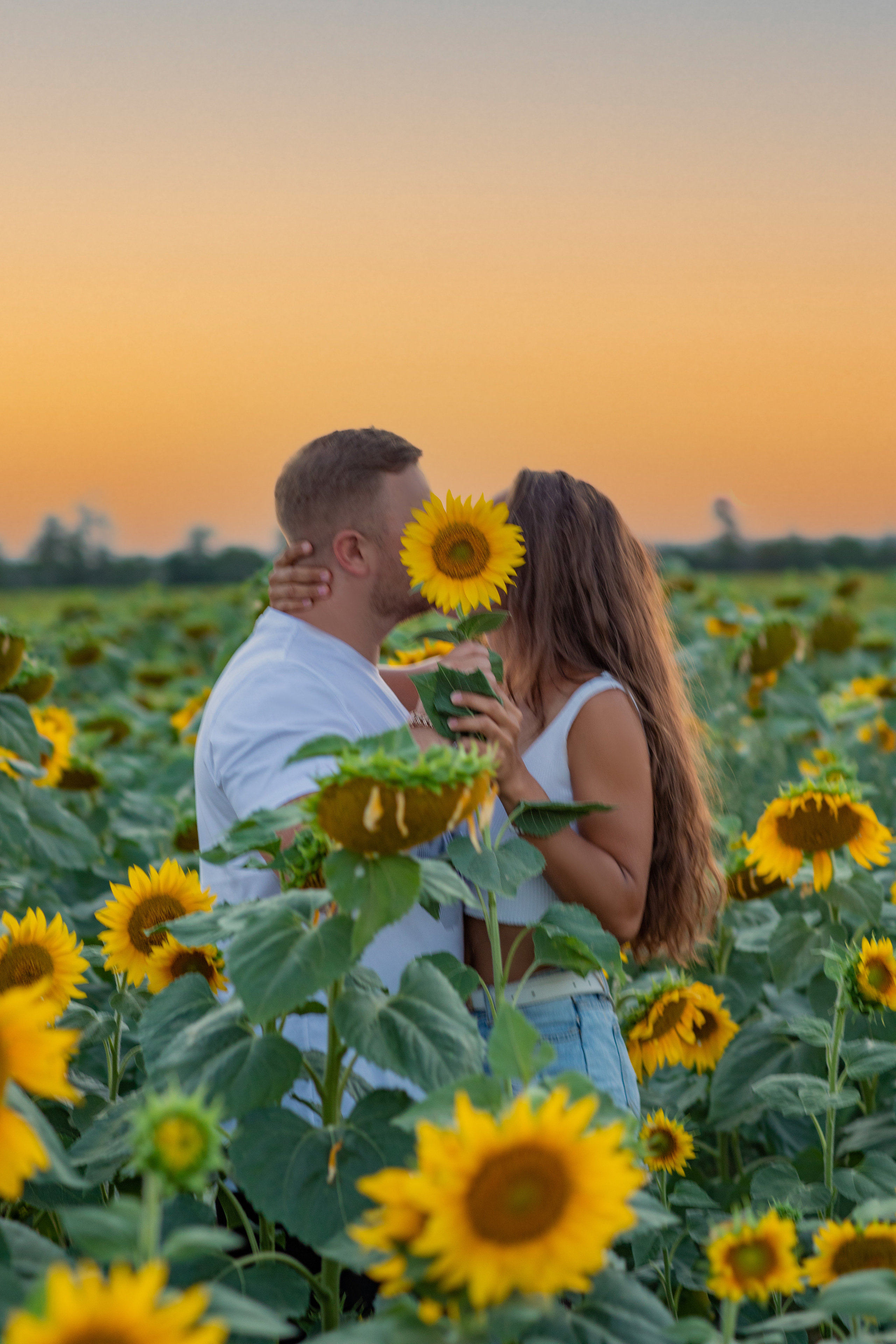 ПОДСОЛНУХИ. Фотограф Севастополь/Крым Светлана Евтушенко
