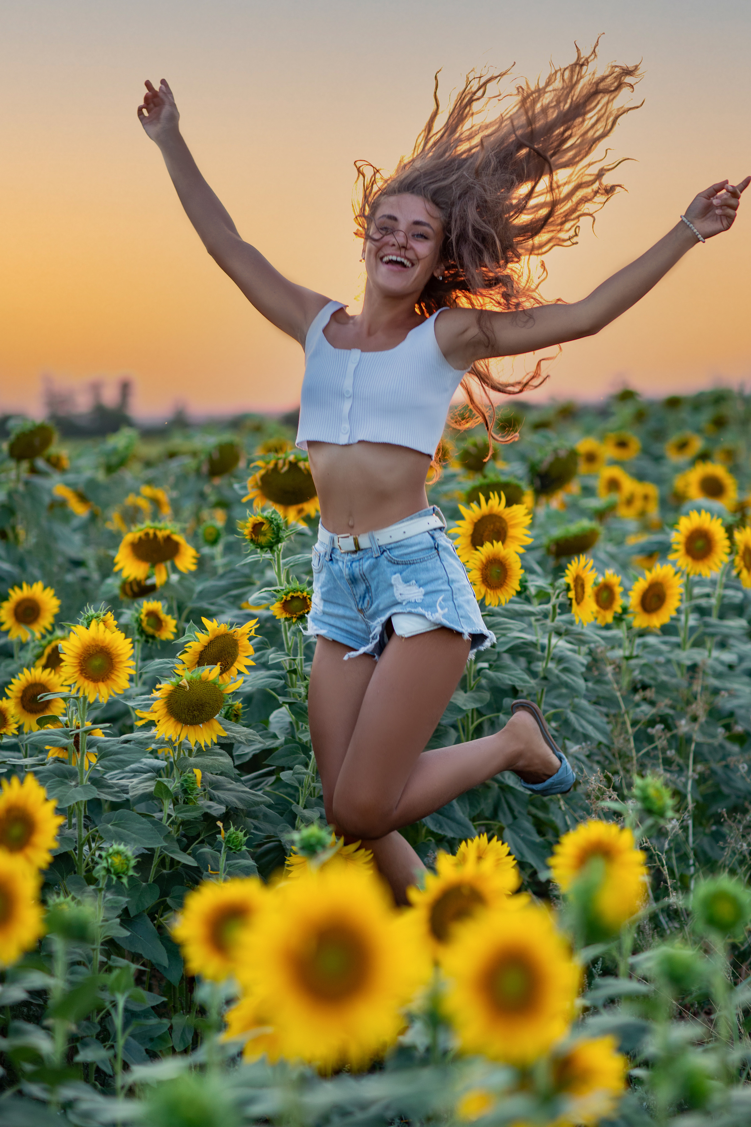 ПОДСОЛНУХИ. Фотограф Севастополь/Крым Светлана Евтушенко