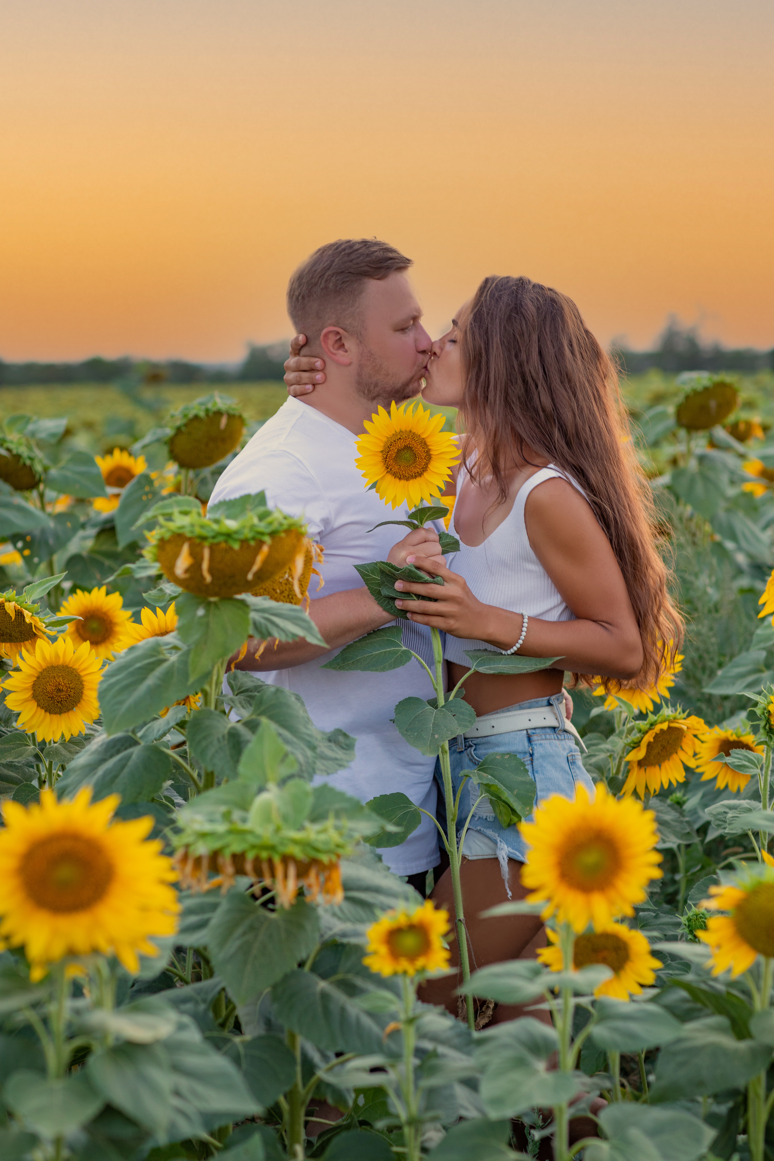 ПОДСОЛНУХИ. Фотограф Севастополь/Крым Светлана Евтушенко