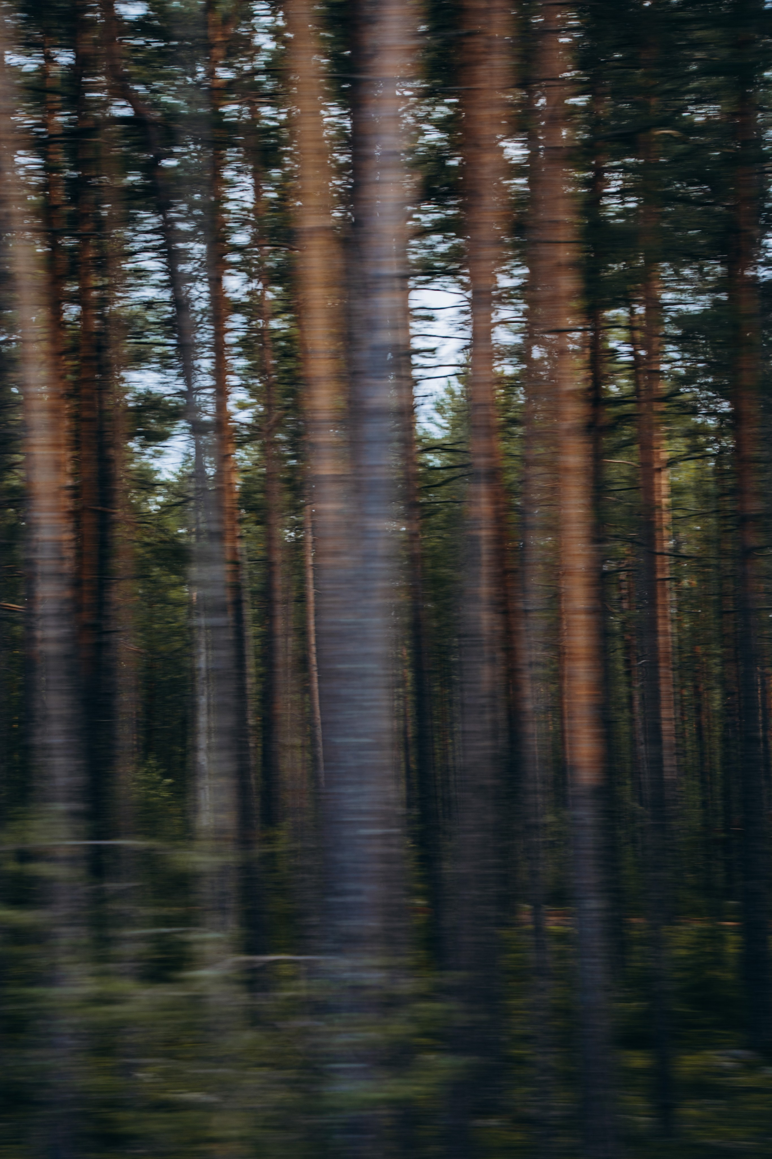 СЕВЕР. Event фотограф Степанова Александра