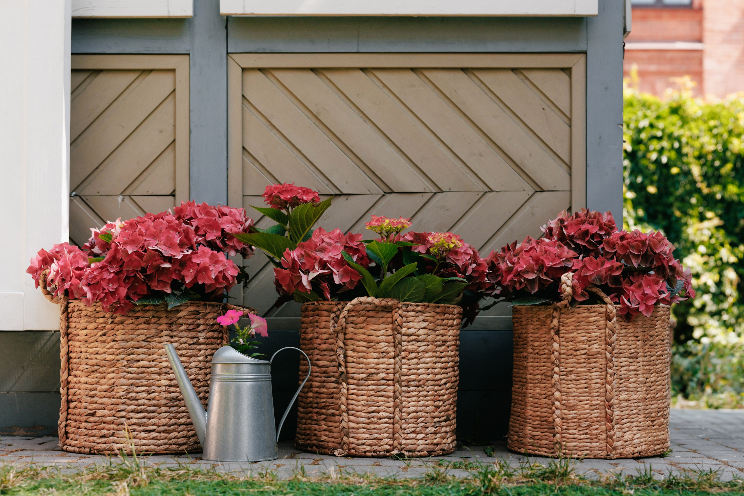 Пряности и радости на Васильевском острове. Репортажный фотограф в Санкт-Петербурге Жолудев Владислав