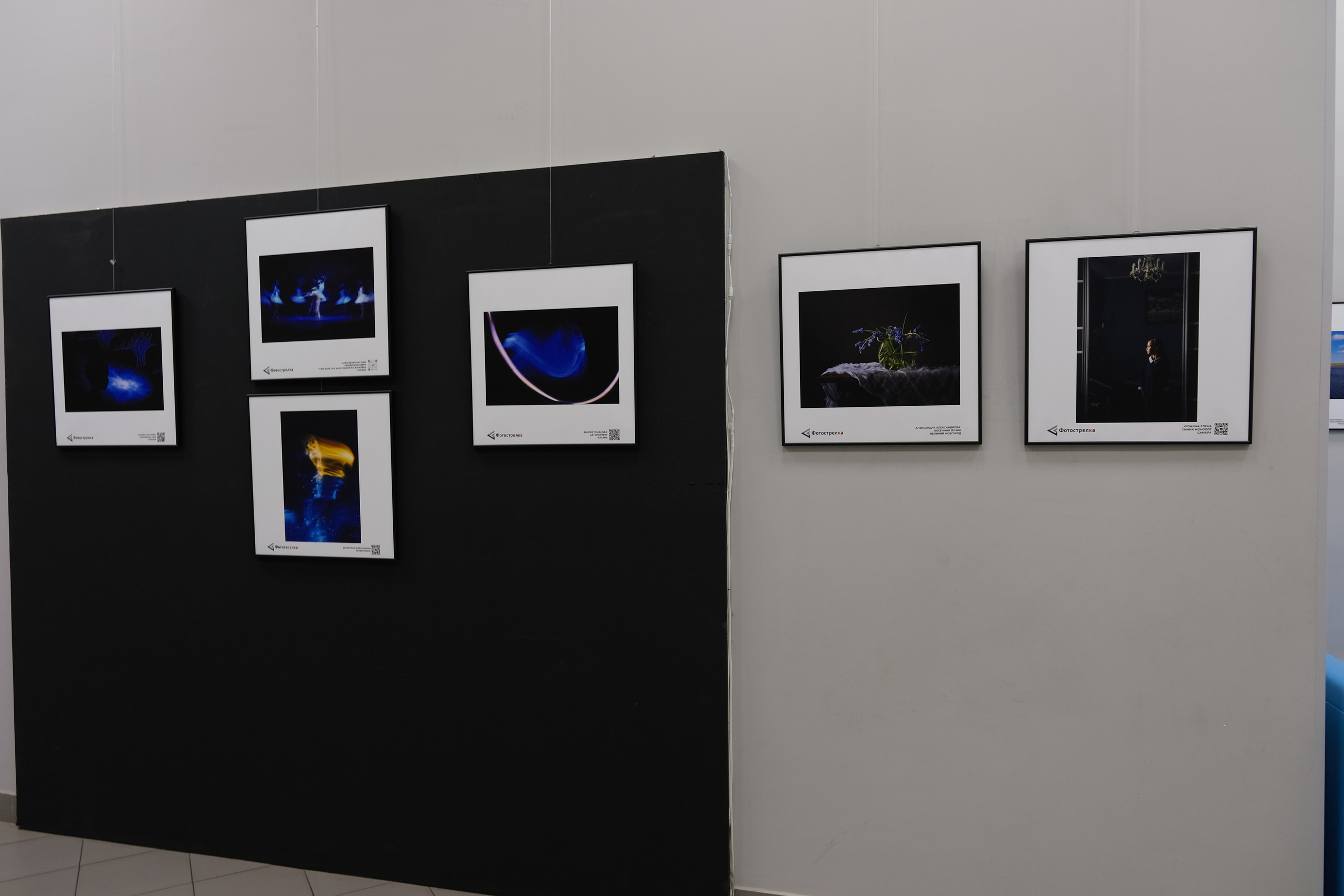 Синяя в Москве 05.07 — 20.08.25. Фотострелка