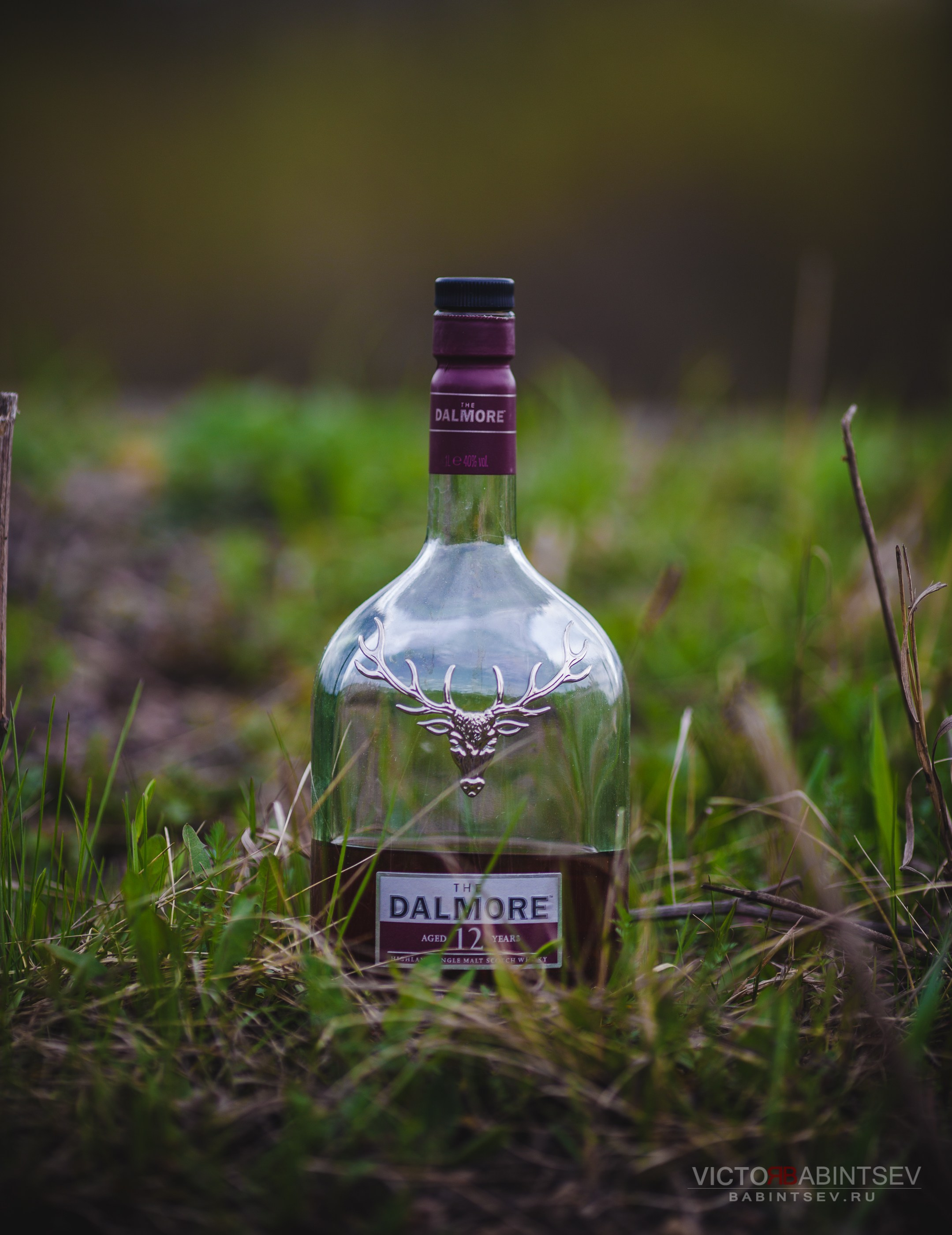 Whisky. Семейный и репортажной фотограф в Красноярске и Москве Виктор Бабинцев