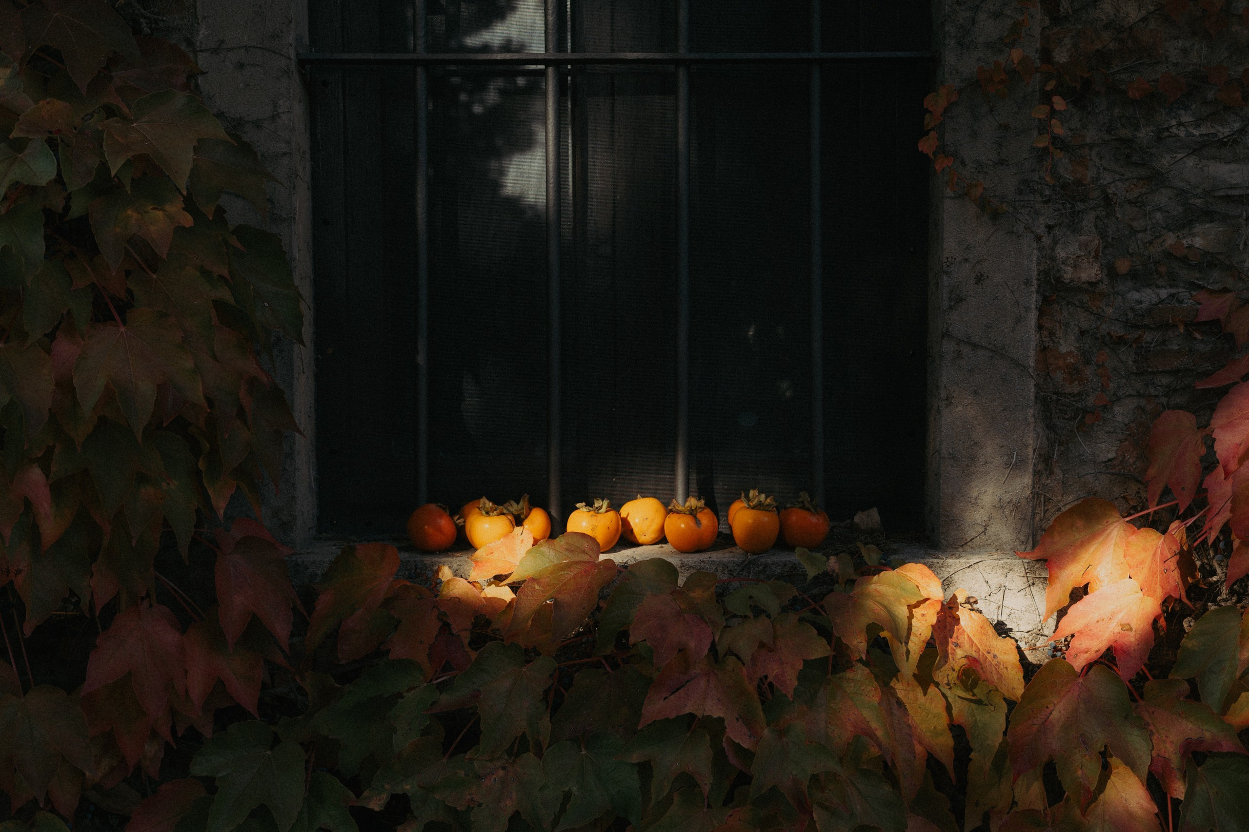 Podere Lupinati | Tuscany