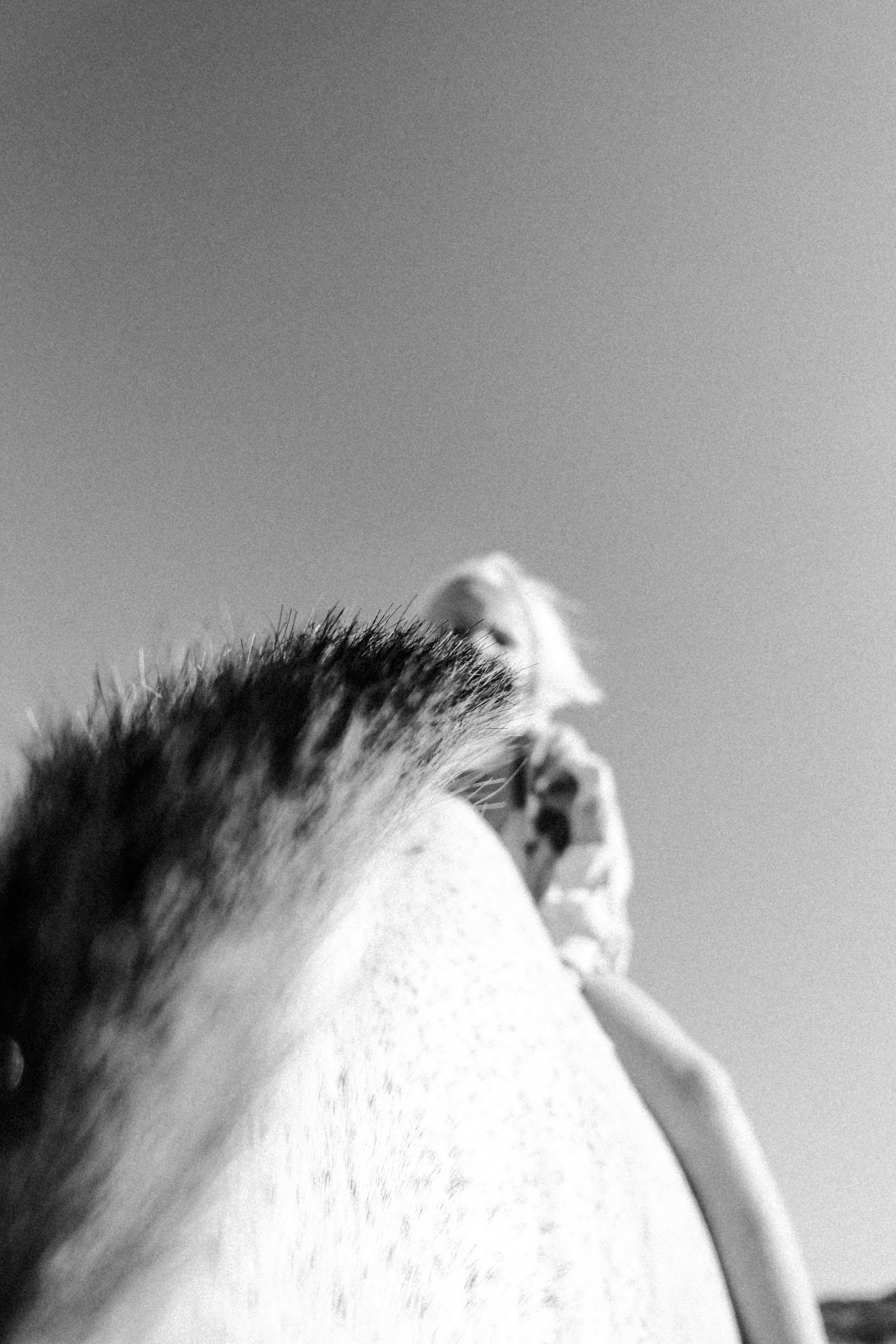 Семейная съемка. Olga Popova — Photographer in Morocco