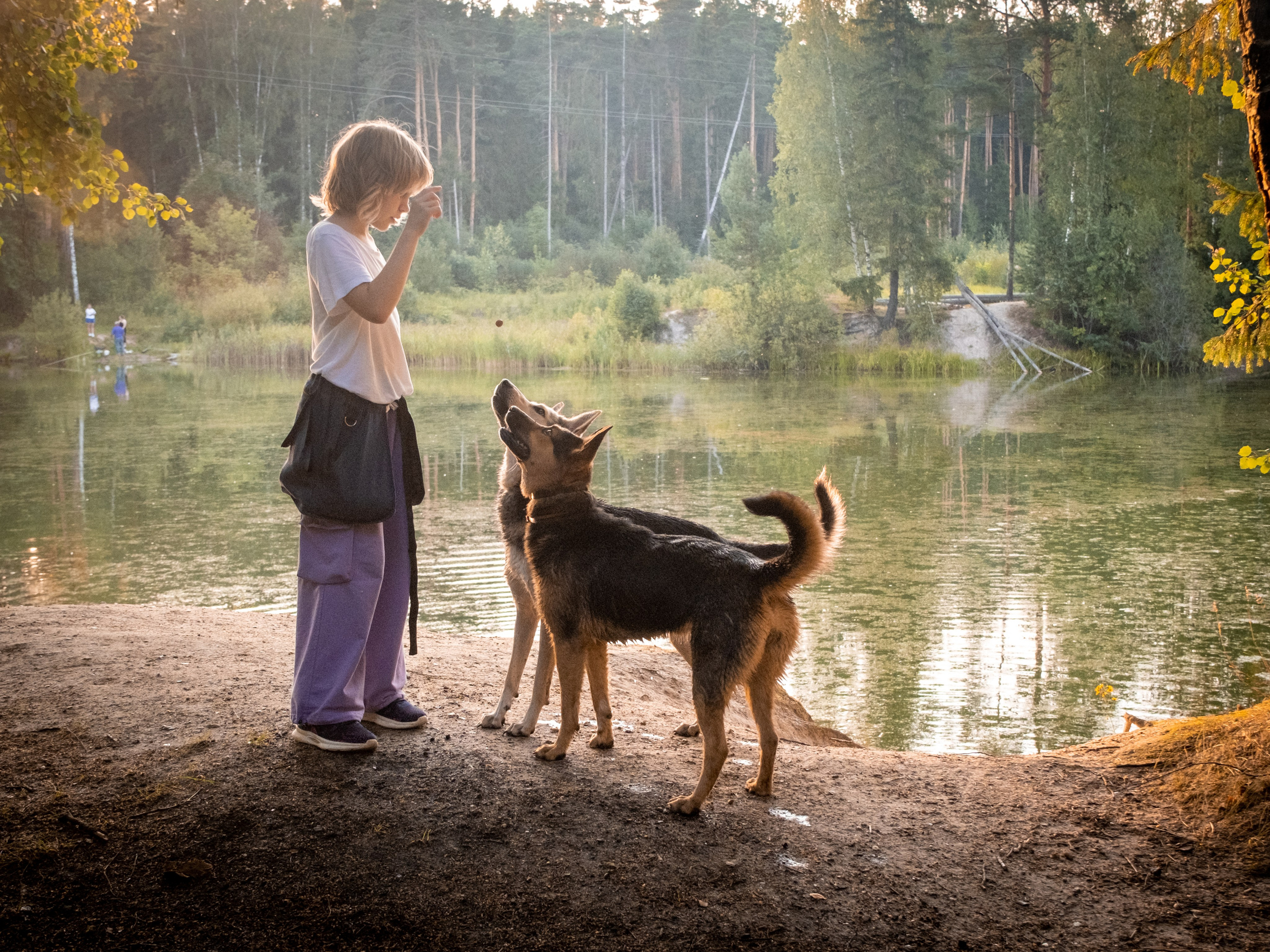Зоофотограф, фотограф животных в Москве и области Дина Дамоцева