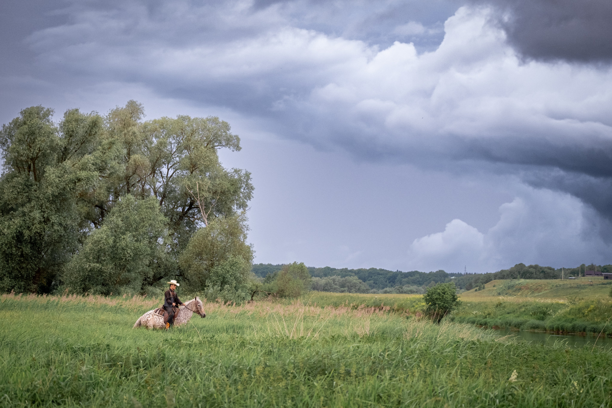 Люди и лошади!. Зоофотограф, фотограф животных в Москве и области Дина Дамоцева
