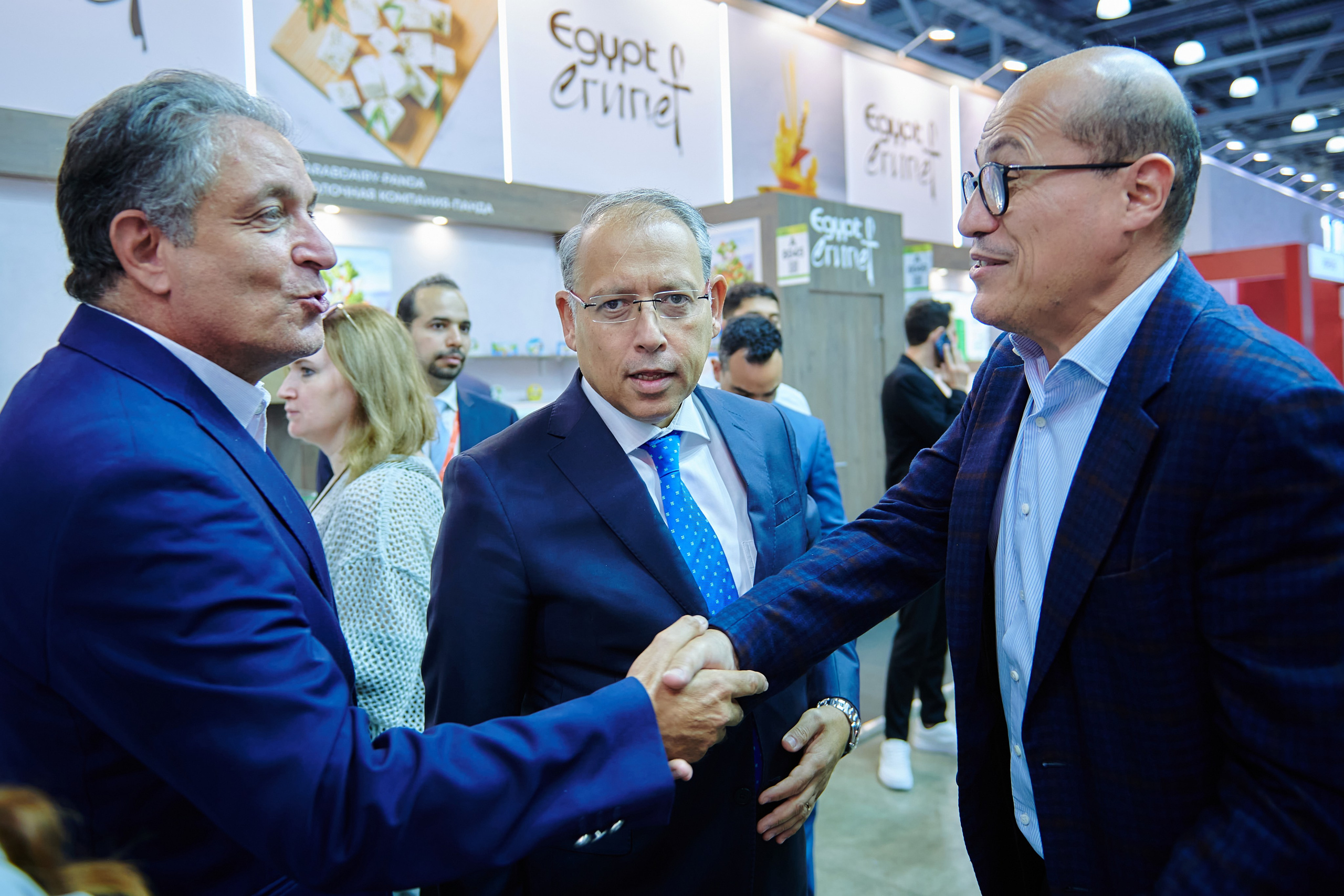 Выставки. Solofilms