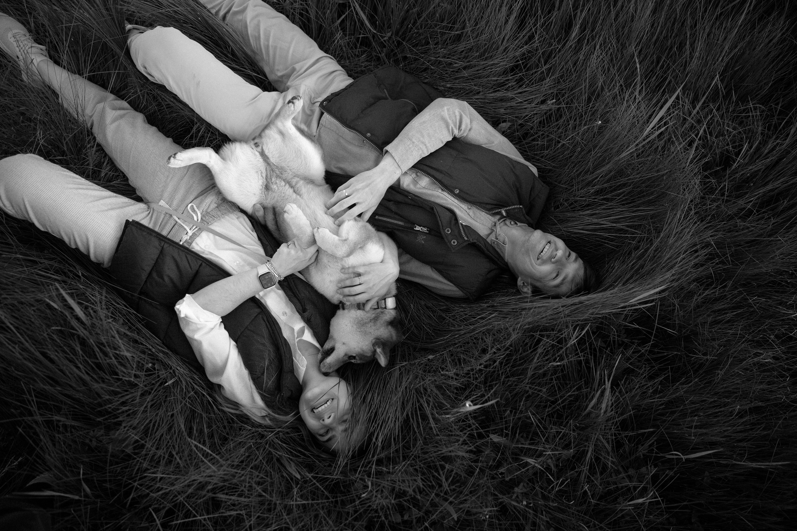 Семейная фотосъемка с собакой. Свадебный фотограф и видеограф Краснодар, Ростов, Сочи, Новороссийск