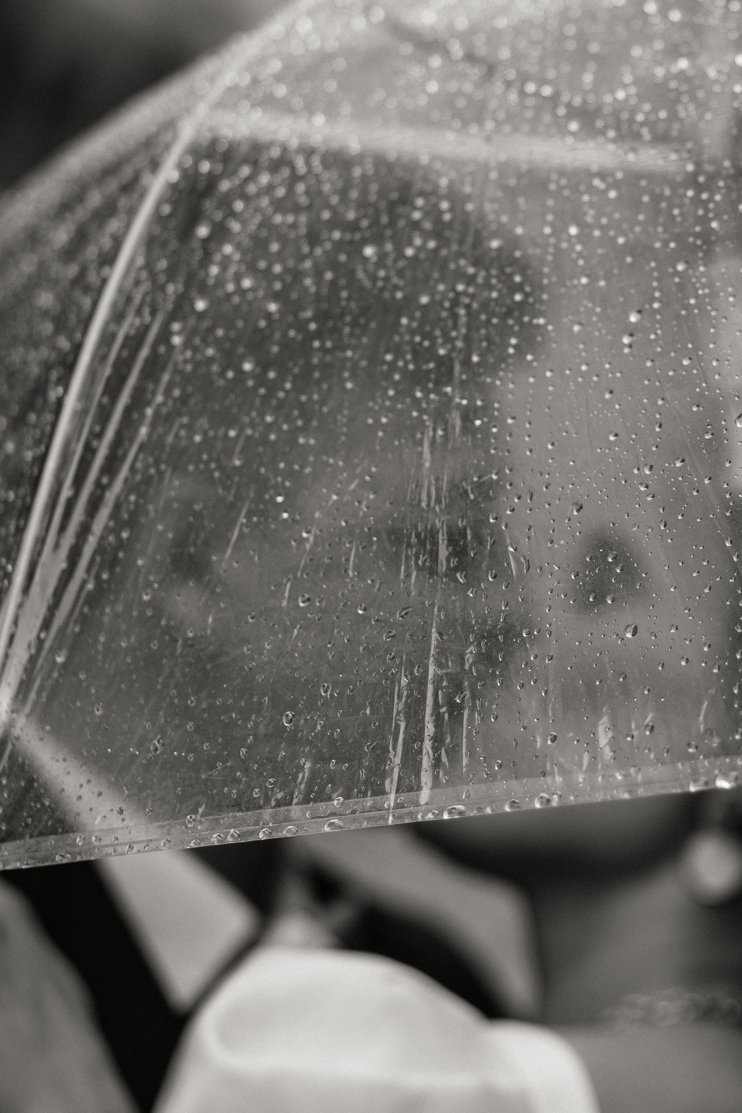 Анна и Александр. Свадебный и репортажный фотограф Ольга Шевелёва