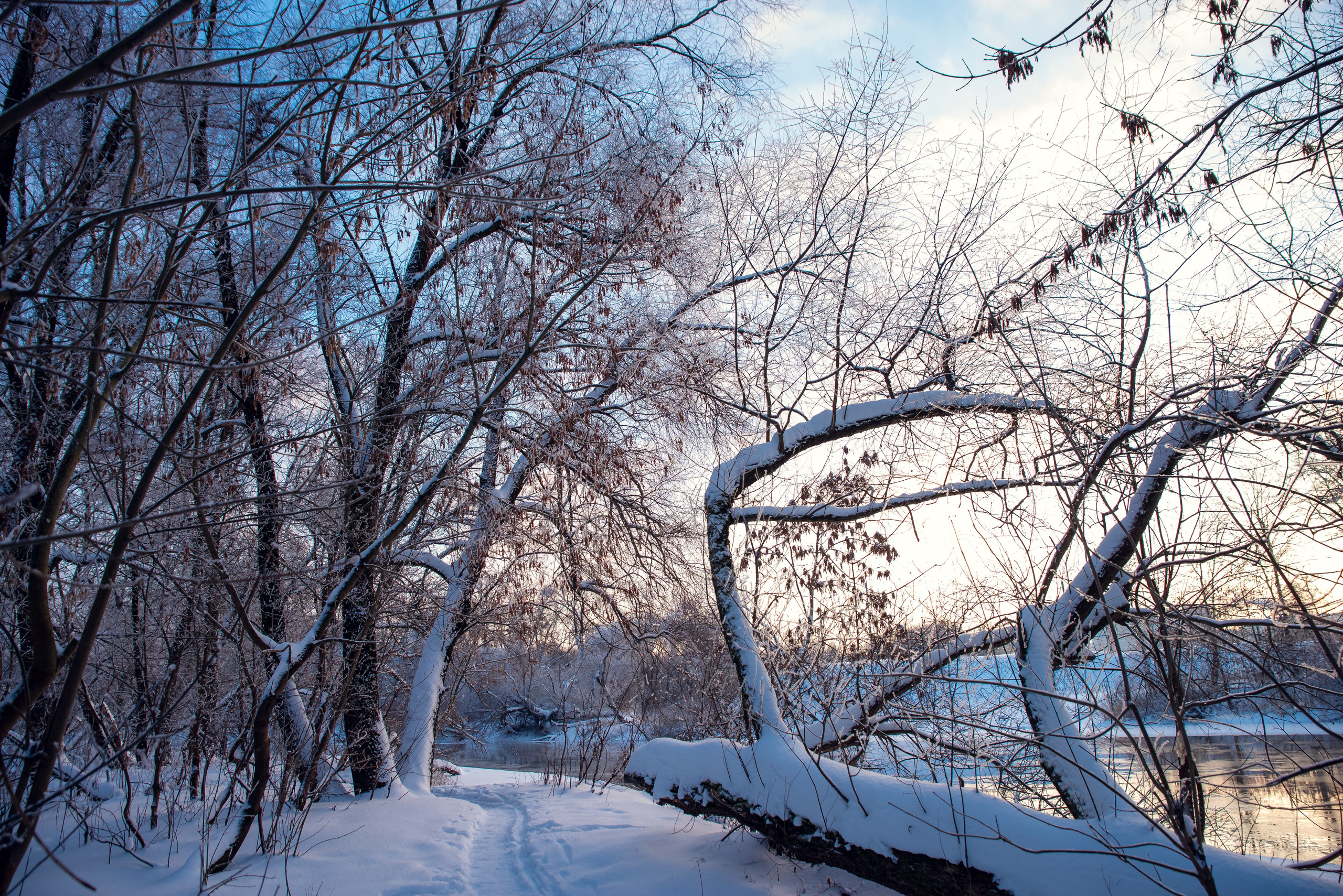 Зимушка зима. Фотограф Крещение Венчание Москва