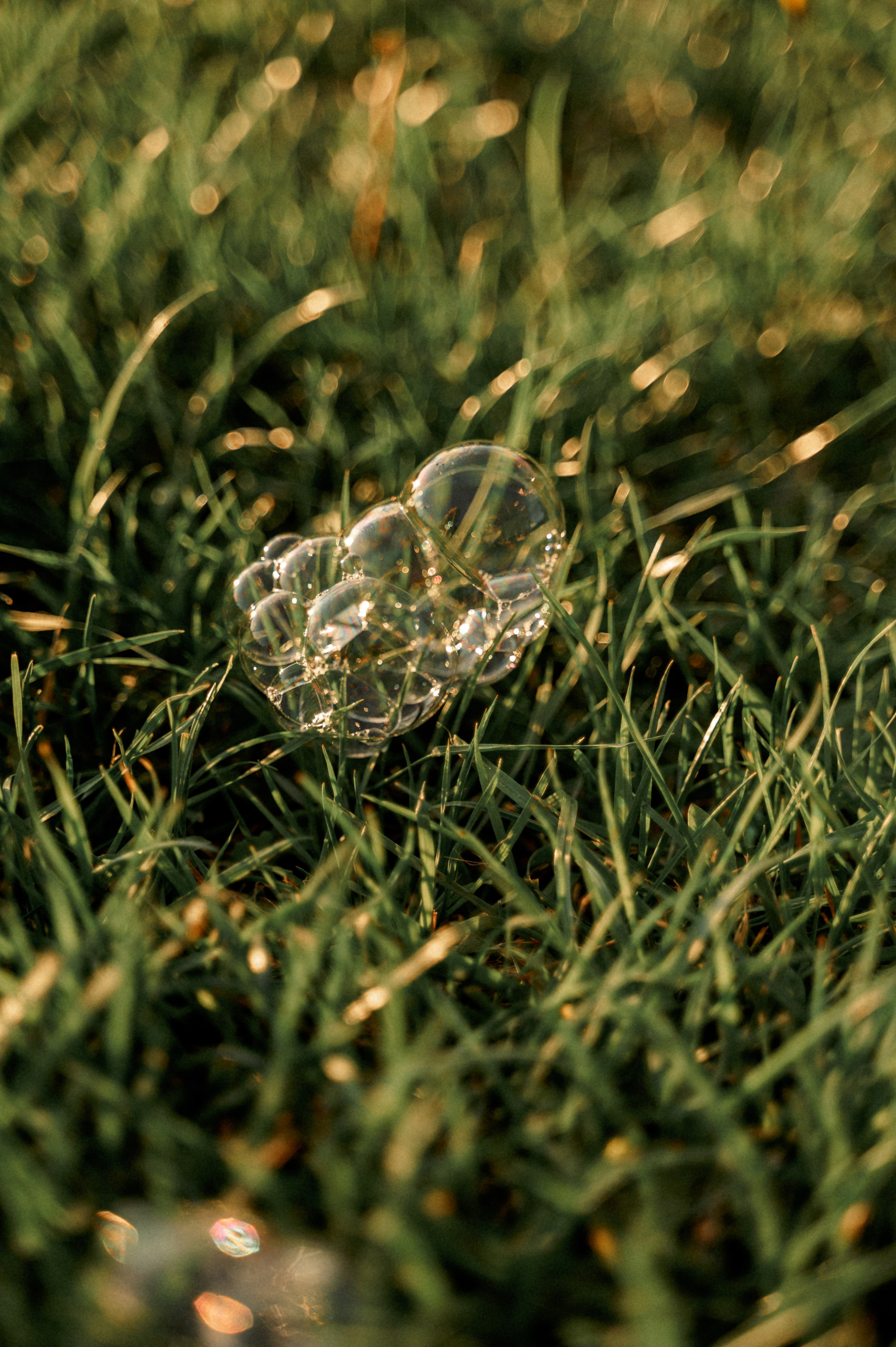 Семейная прогулочная фотосессия. Свадебный и семейный фотограф в Чебоксарах Ирина Левнер