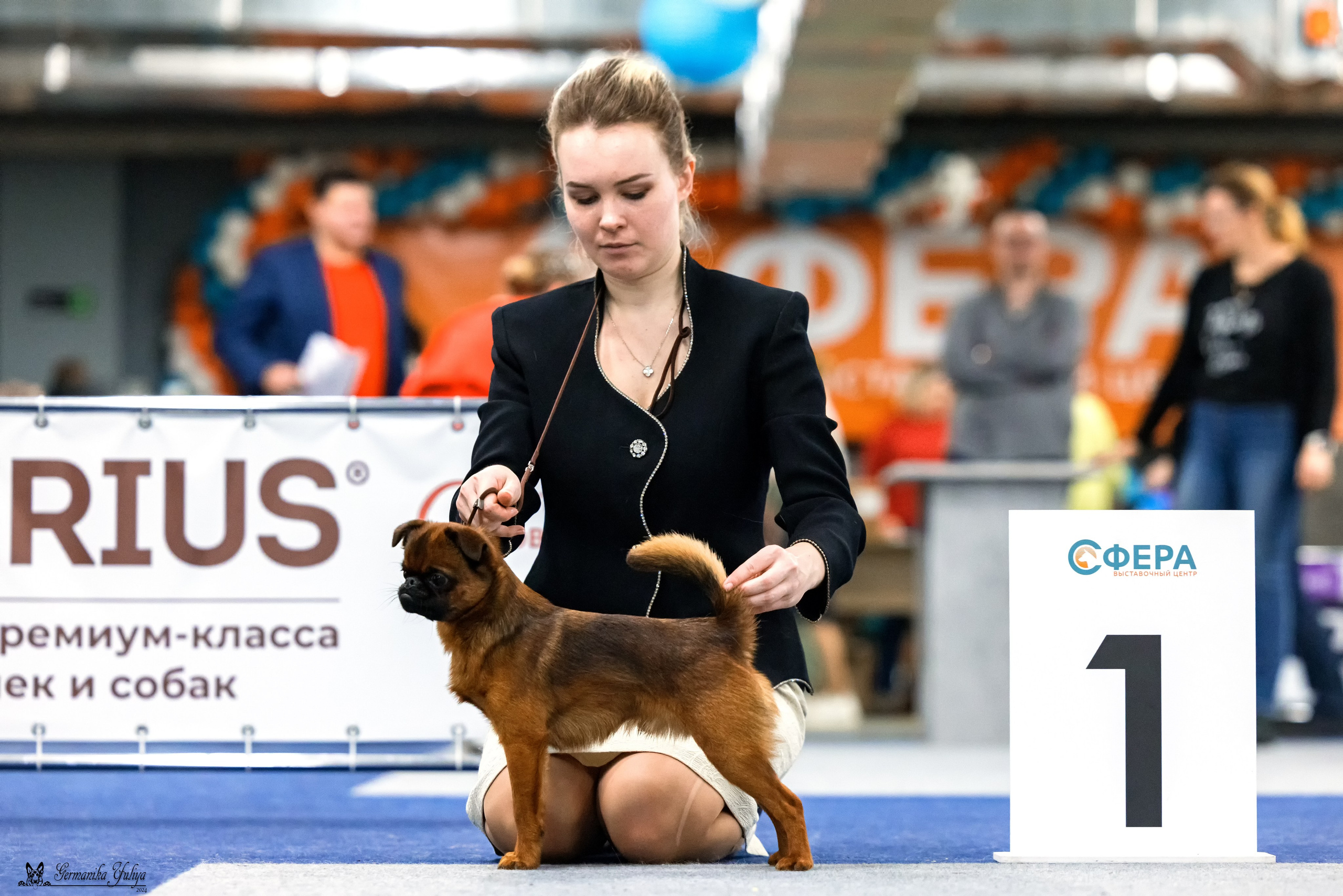 Сфера 28.01. и 4.02.2024. Фотограф-анималист Юлия Германика