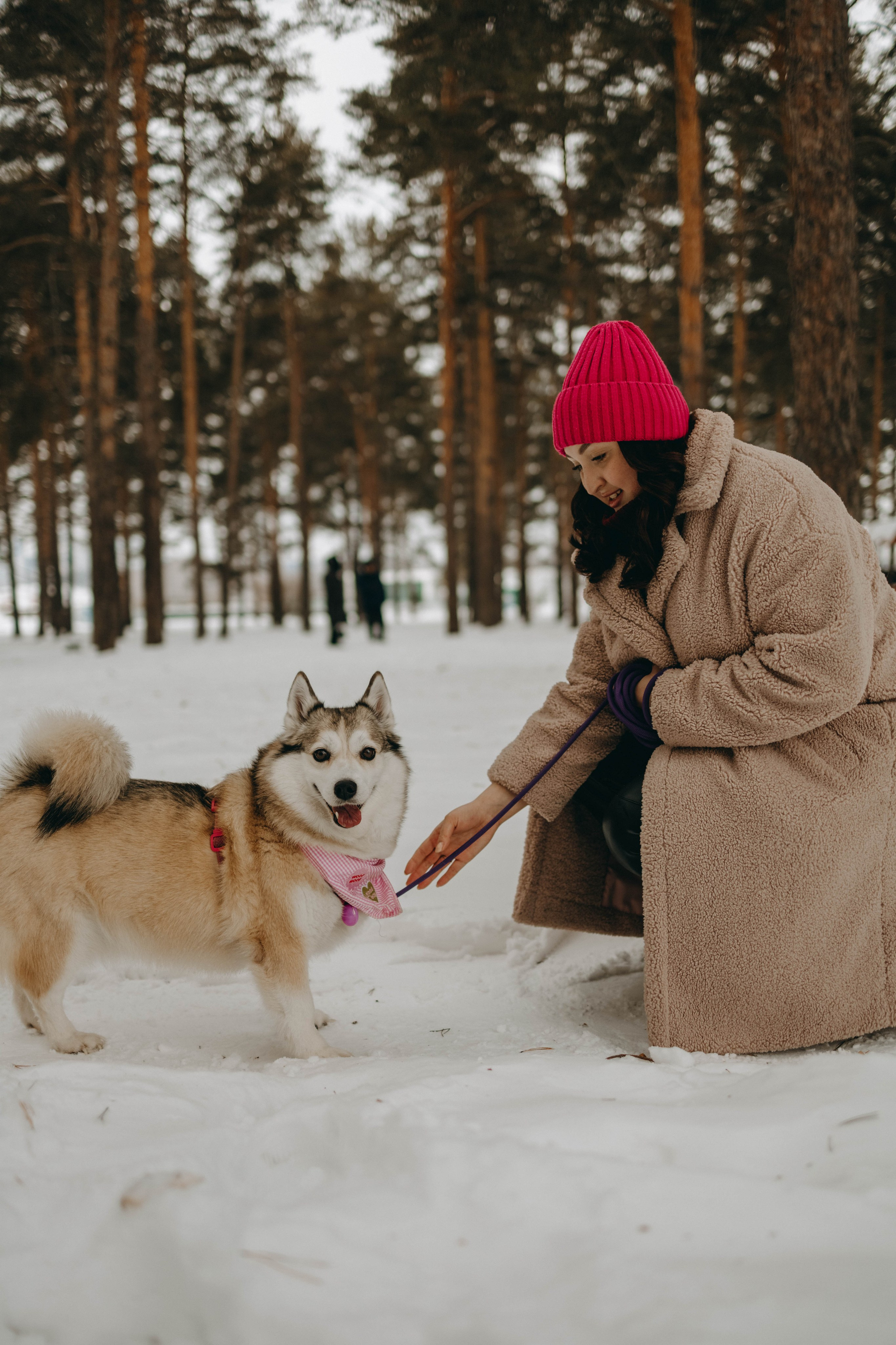 Варвара и Шелби. Фотограф-анималист в Екатеринбурге | Кристина